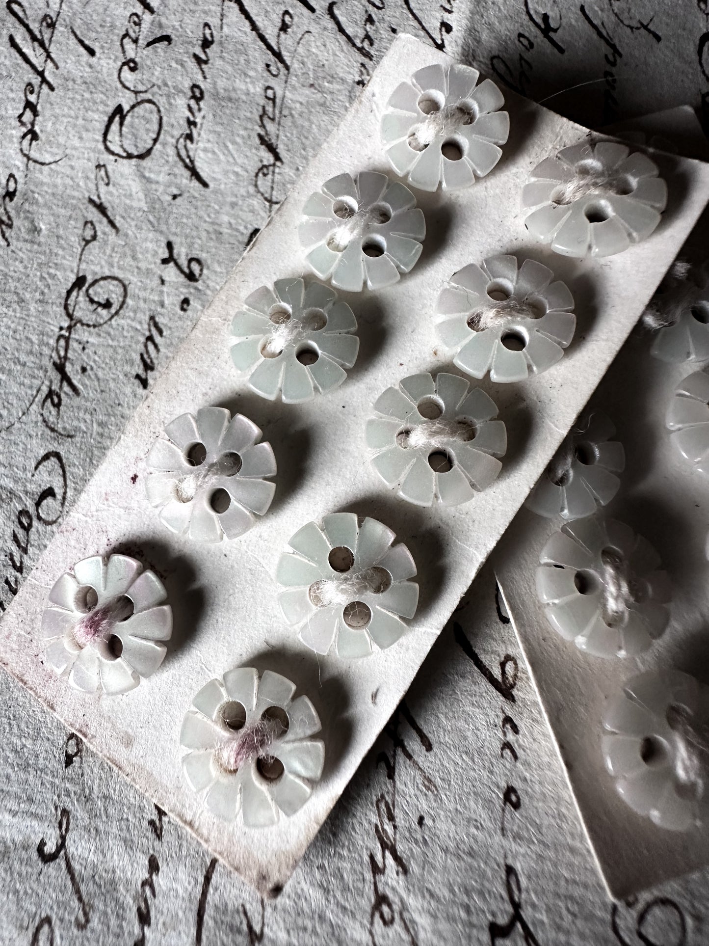 Victorian Mother of Pearl Flower Buttons – Deadstock Set of 10