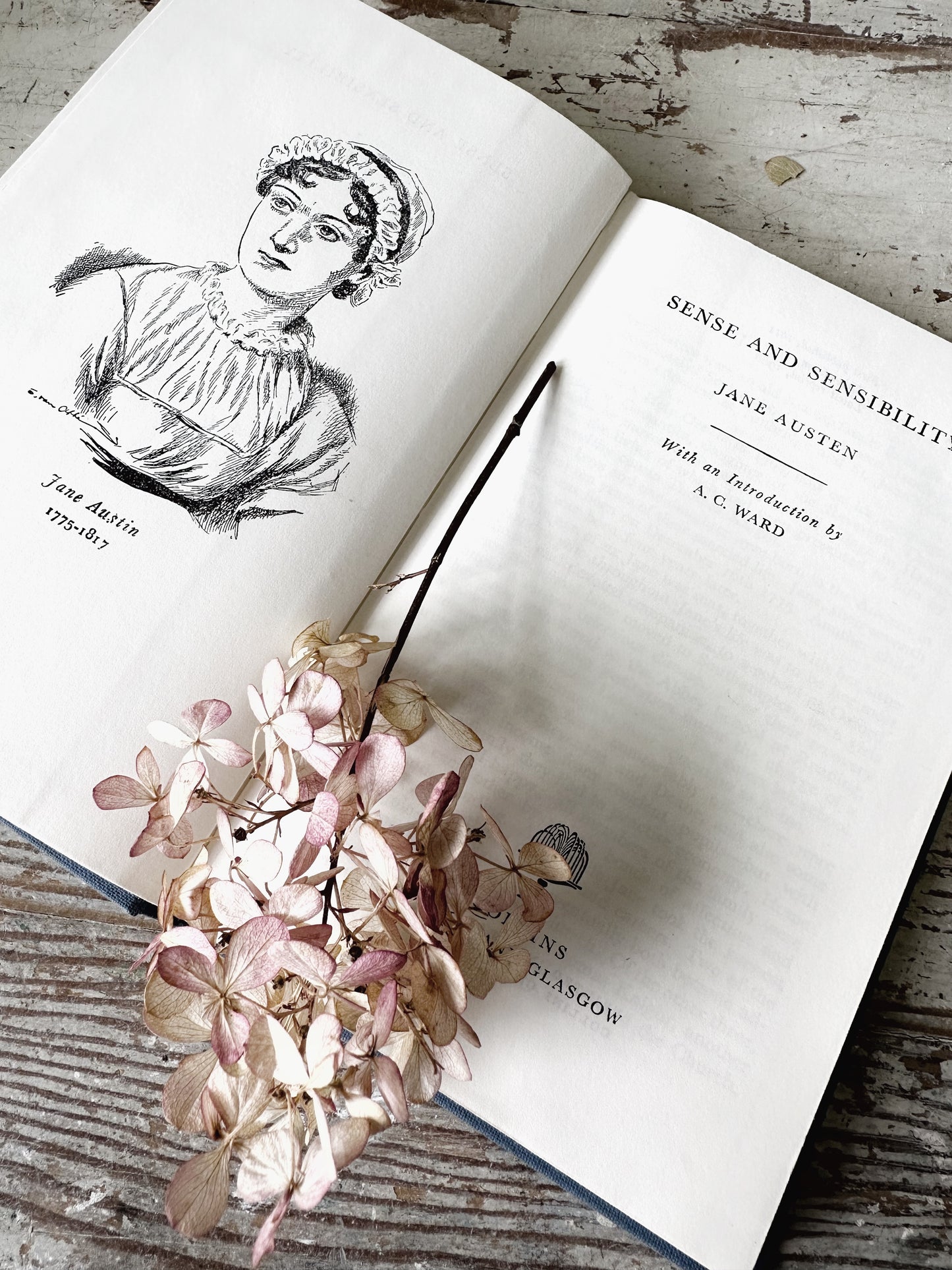Vintage Jane Austen book Sense and Sensibility