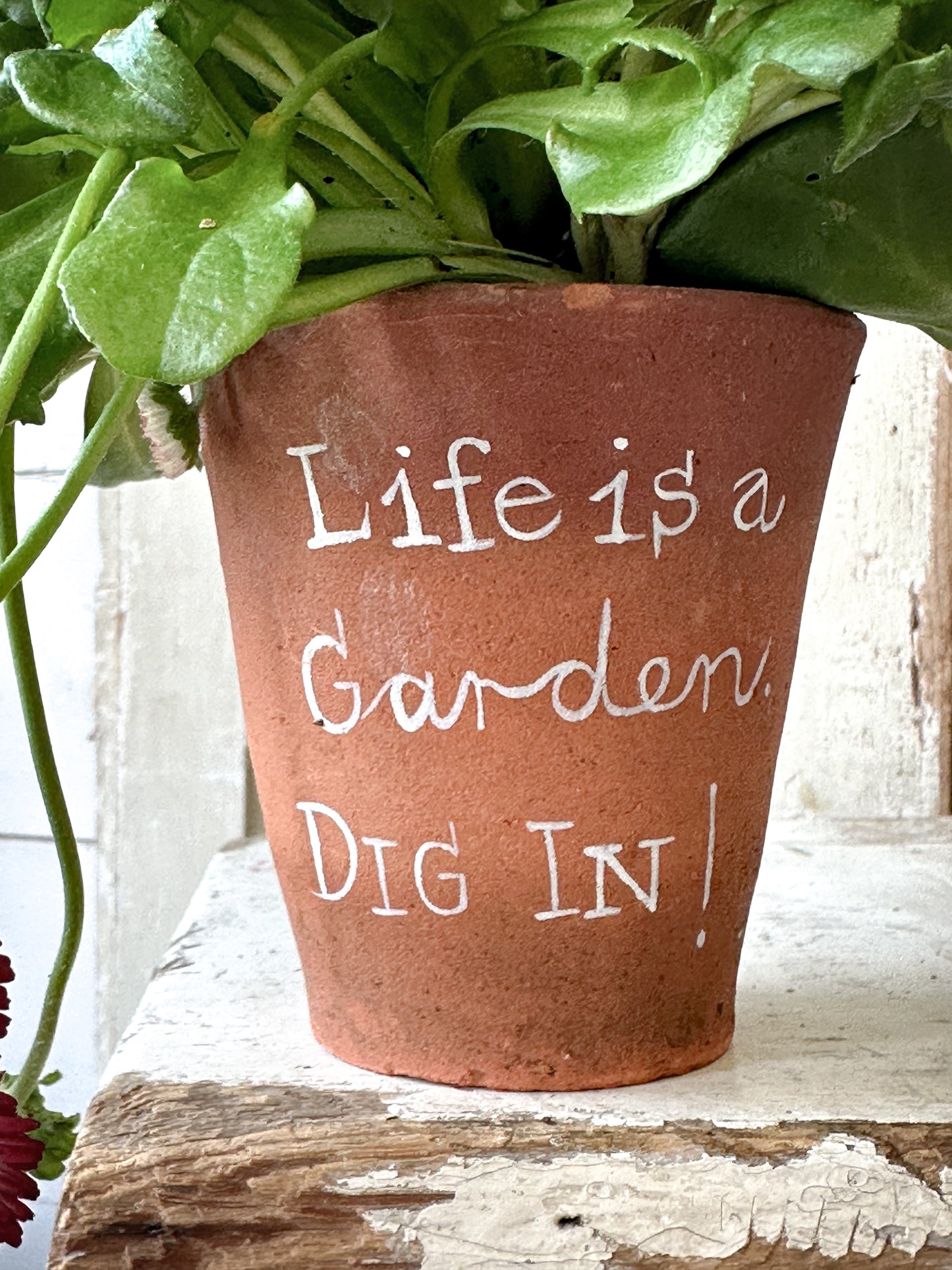 A Victorian terracotta pot with a quote “Life is a Garden”