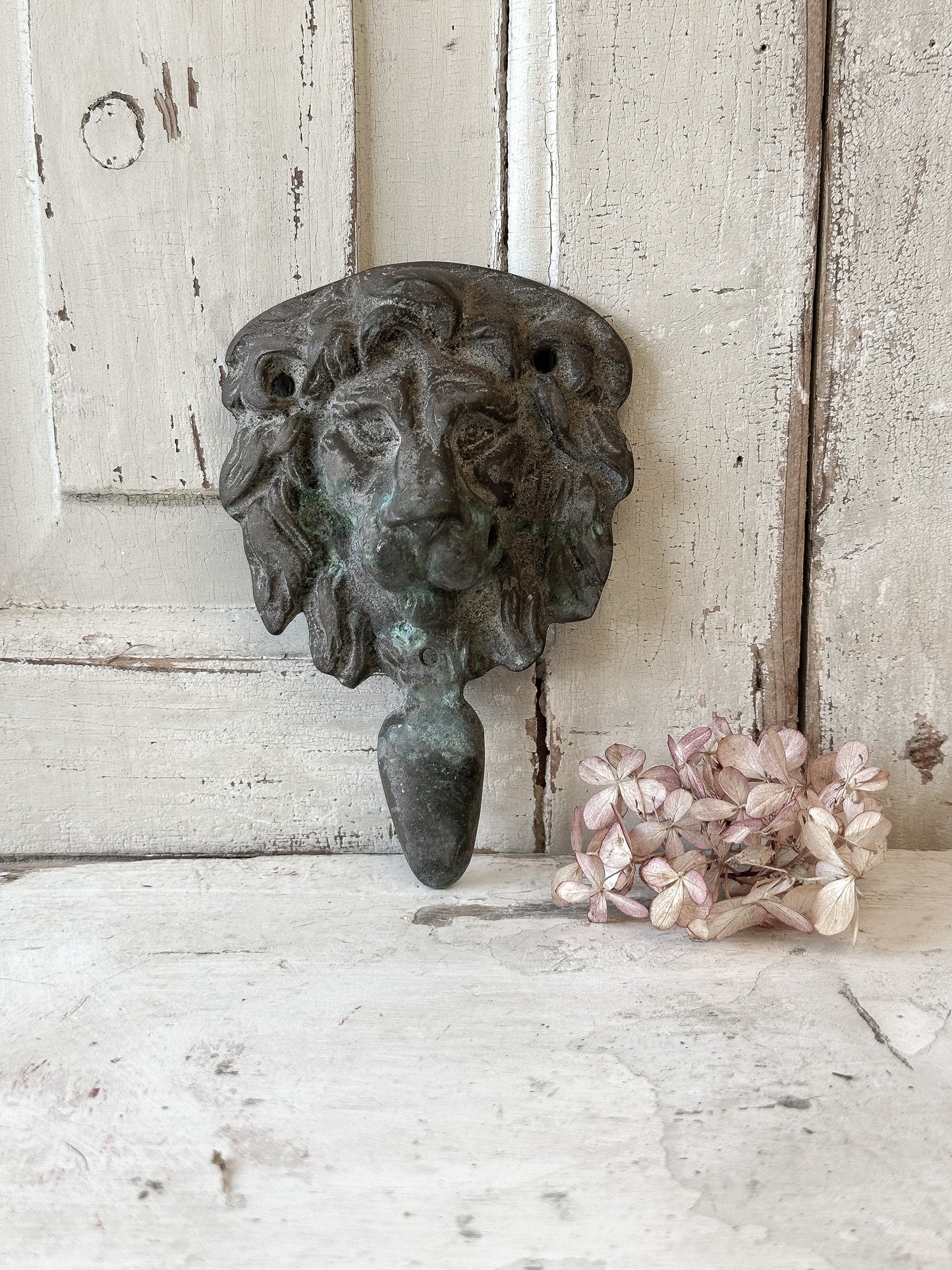 Beautiful weathered brass lion knocker