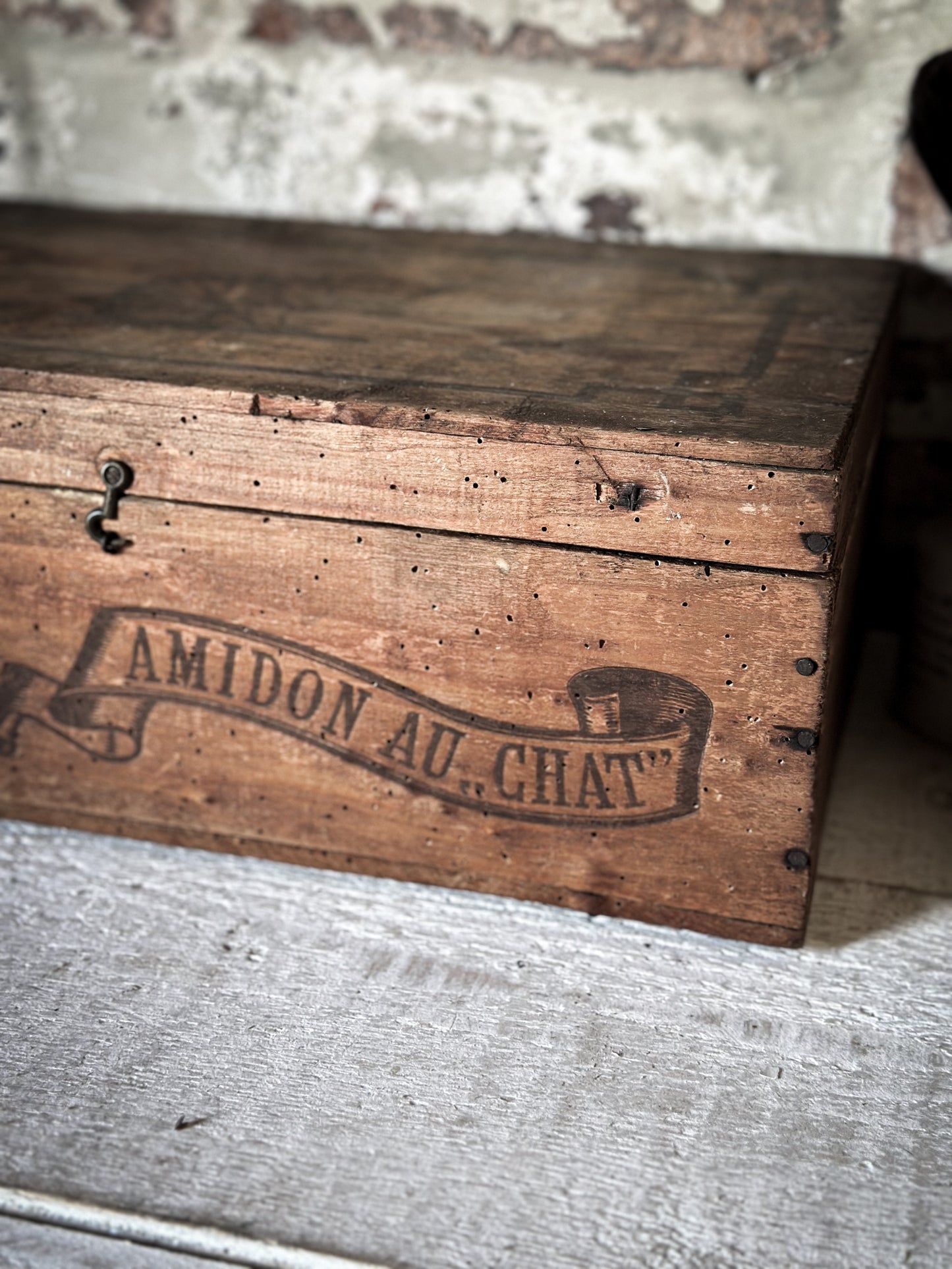 Amidon Au Chat Diplome D’ Honneur Shop Counter Box