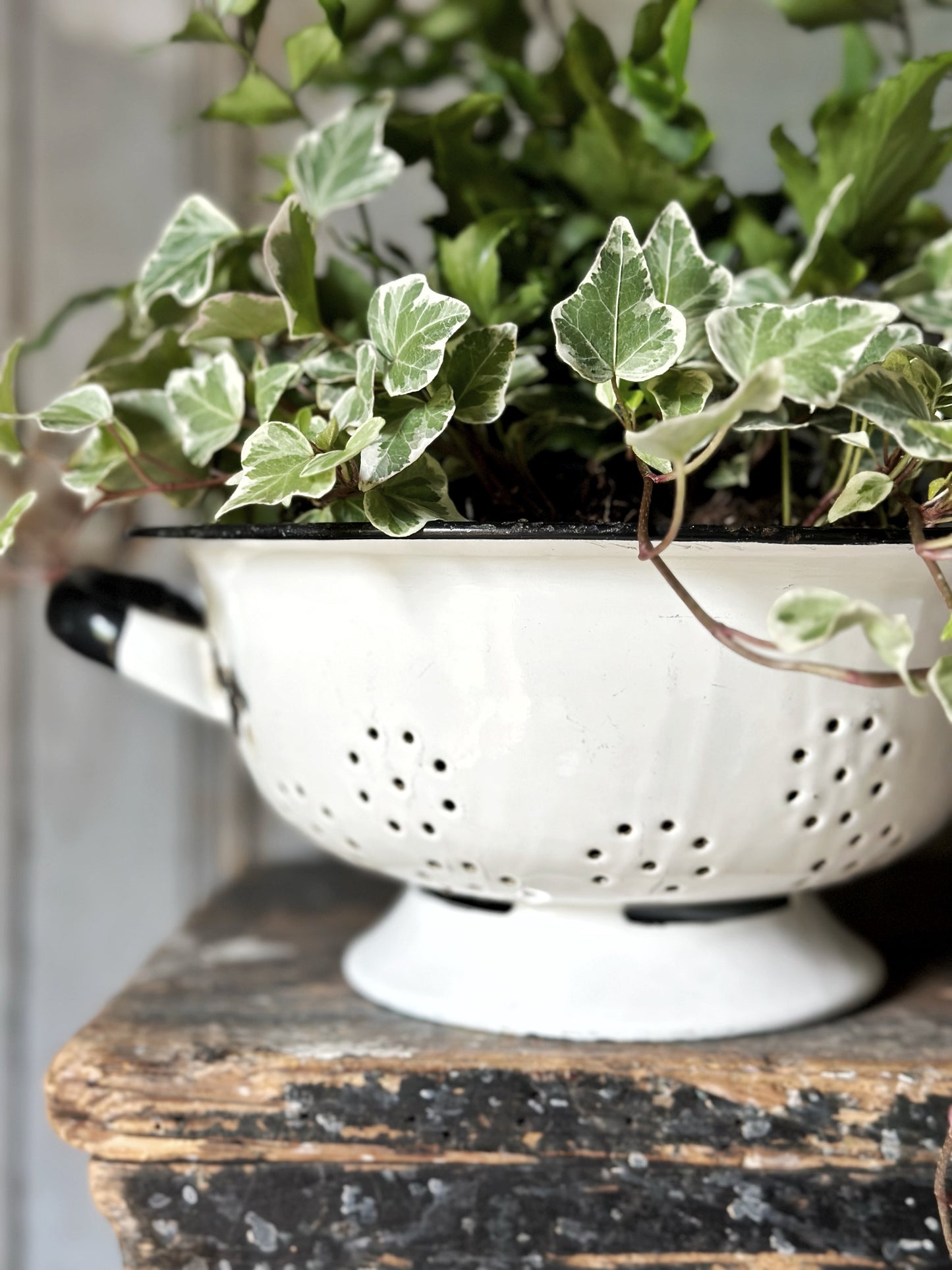 A gorgeous vintage white enamelware colander