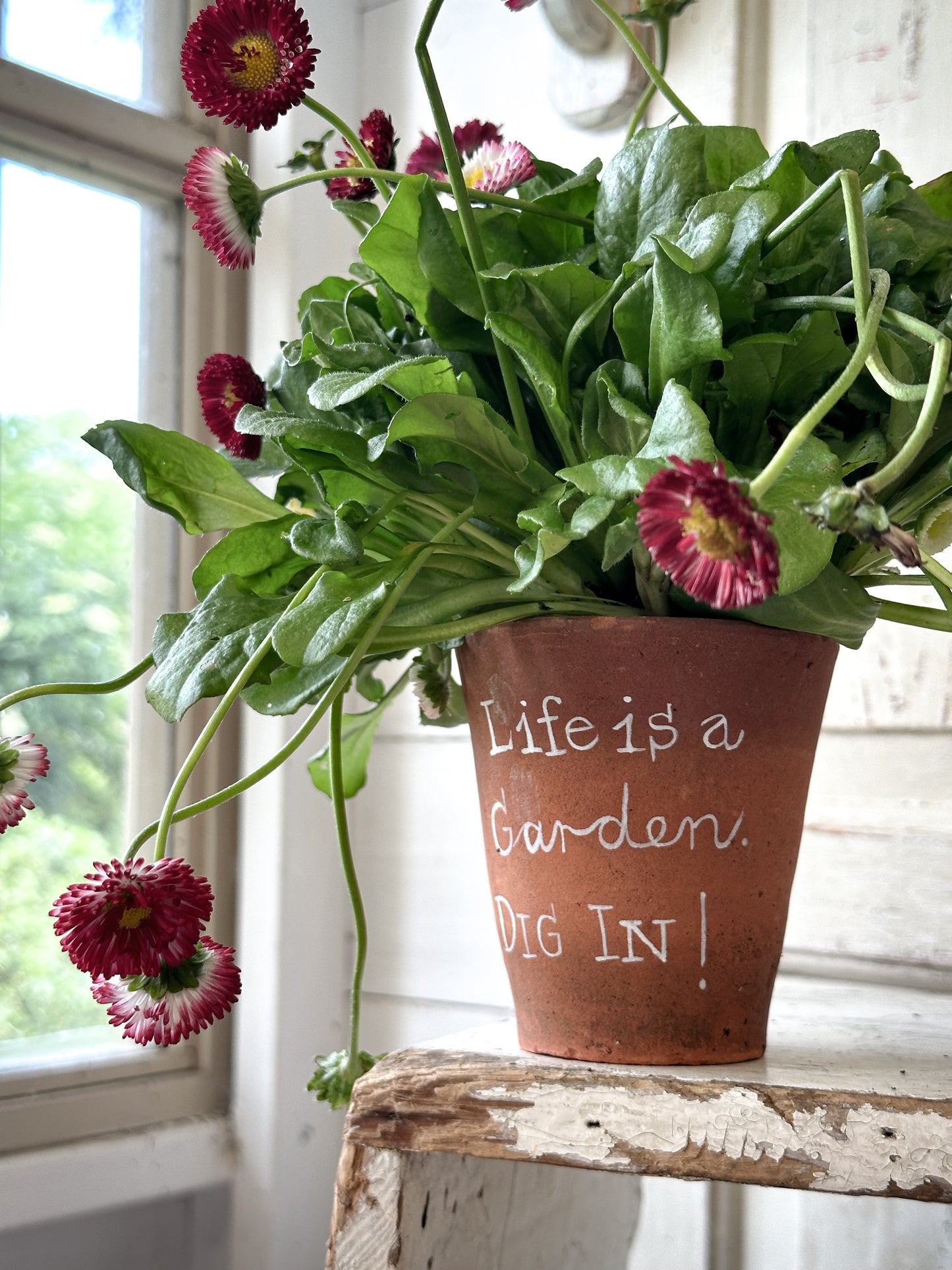 A Victorian terracotta pot with a quote “Life is a Garden”