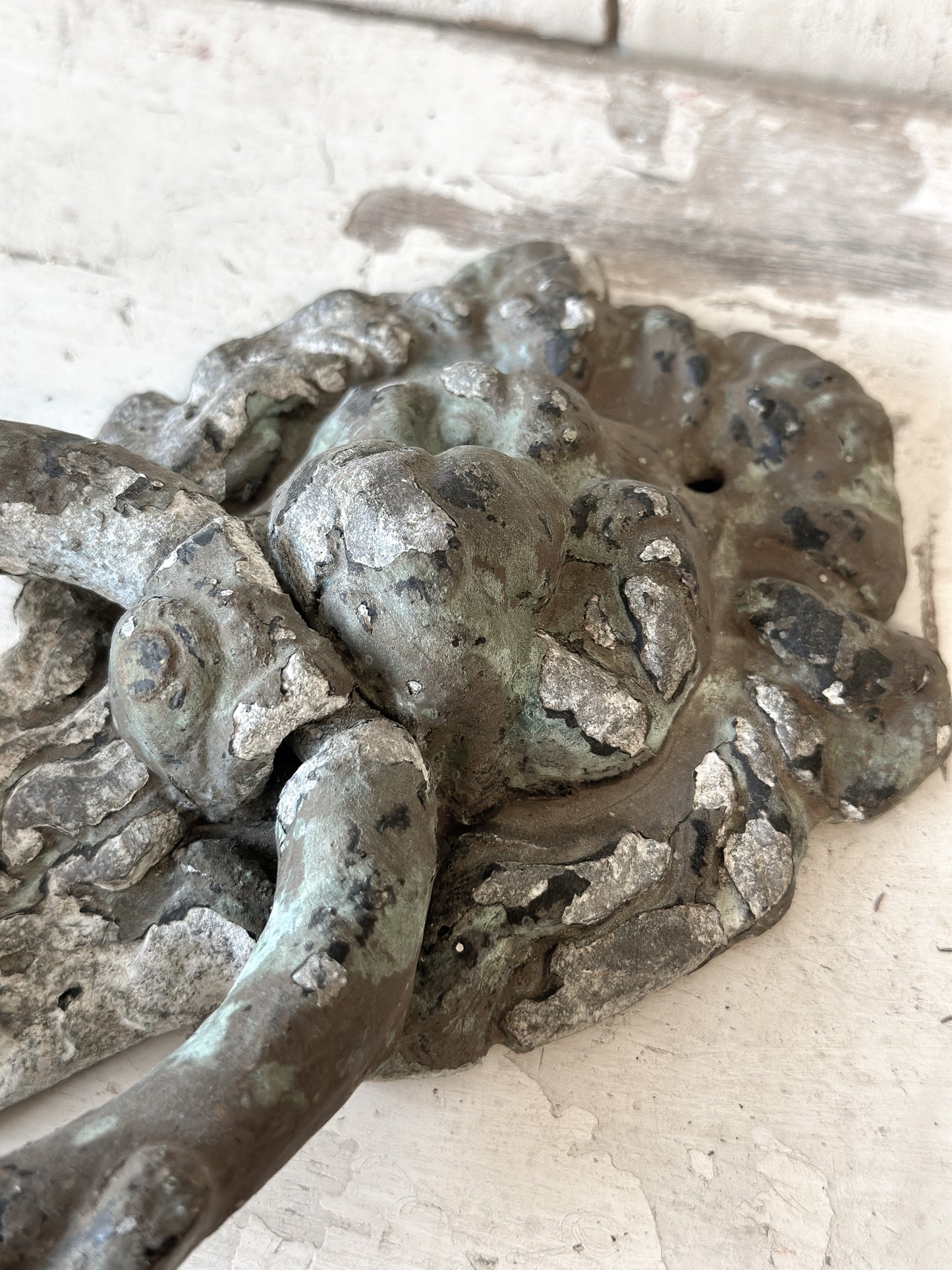Beautiful weathered lion knocker