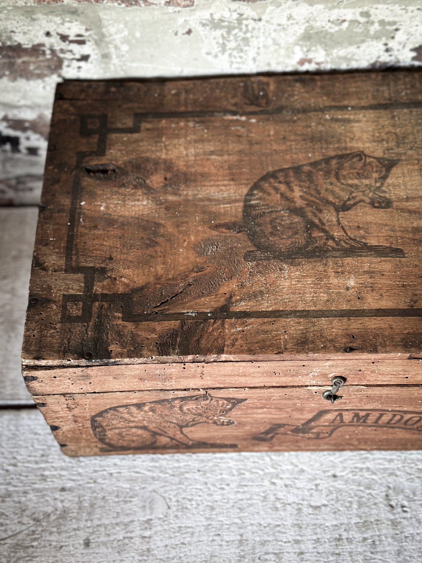 Amidon Au Chat Diplome D’ Honneur Shop Counter Box