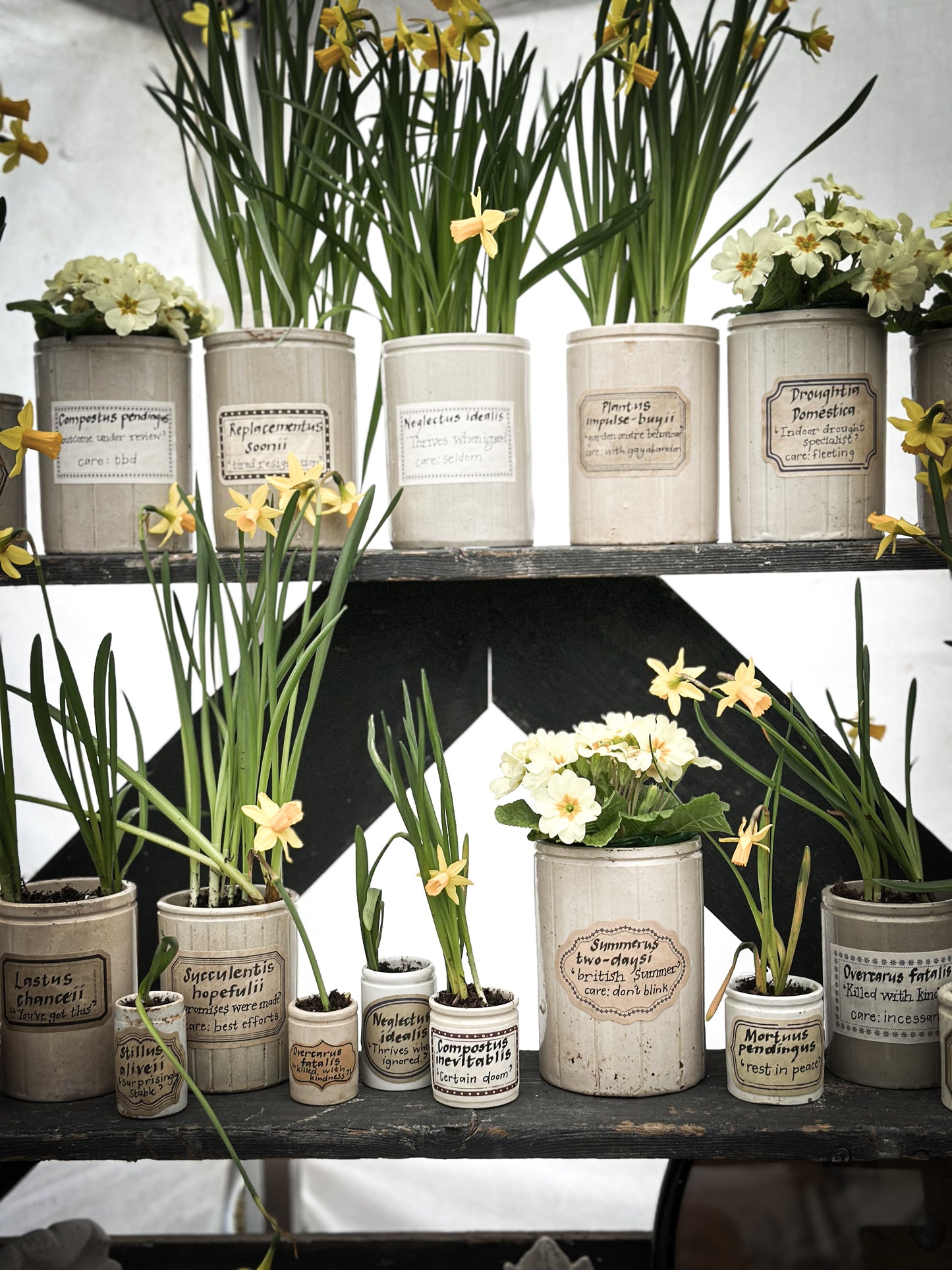 The Hopeful Gardener™ Specimen Pot “