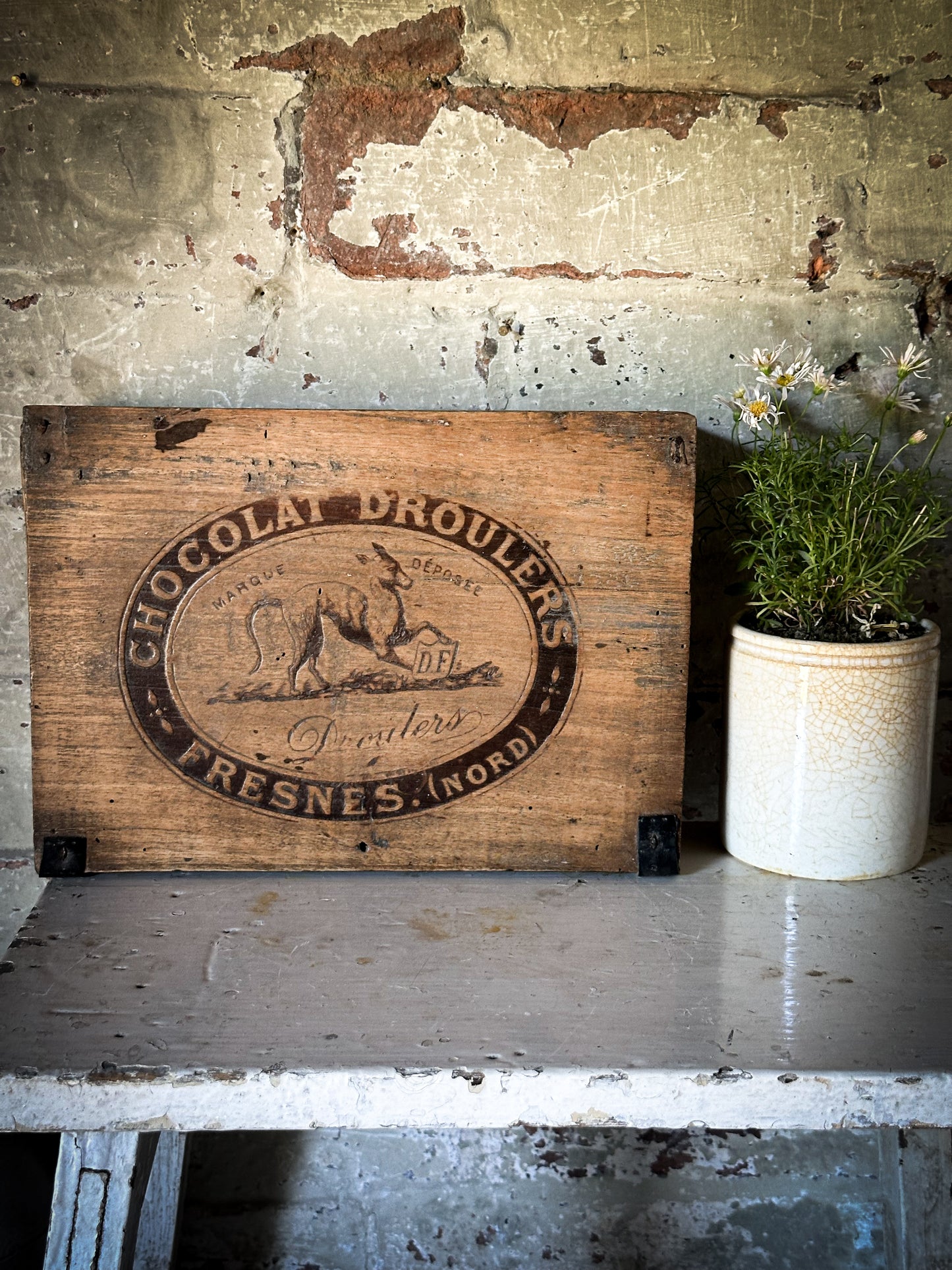 Chocolat Droulers French Chocolate Shop Counter Box