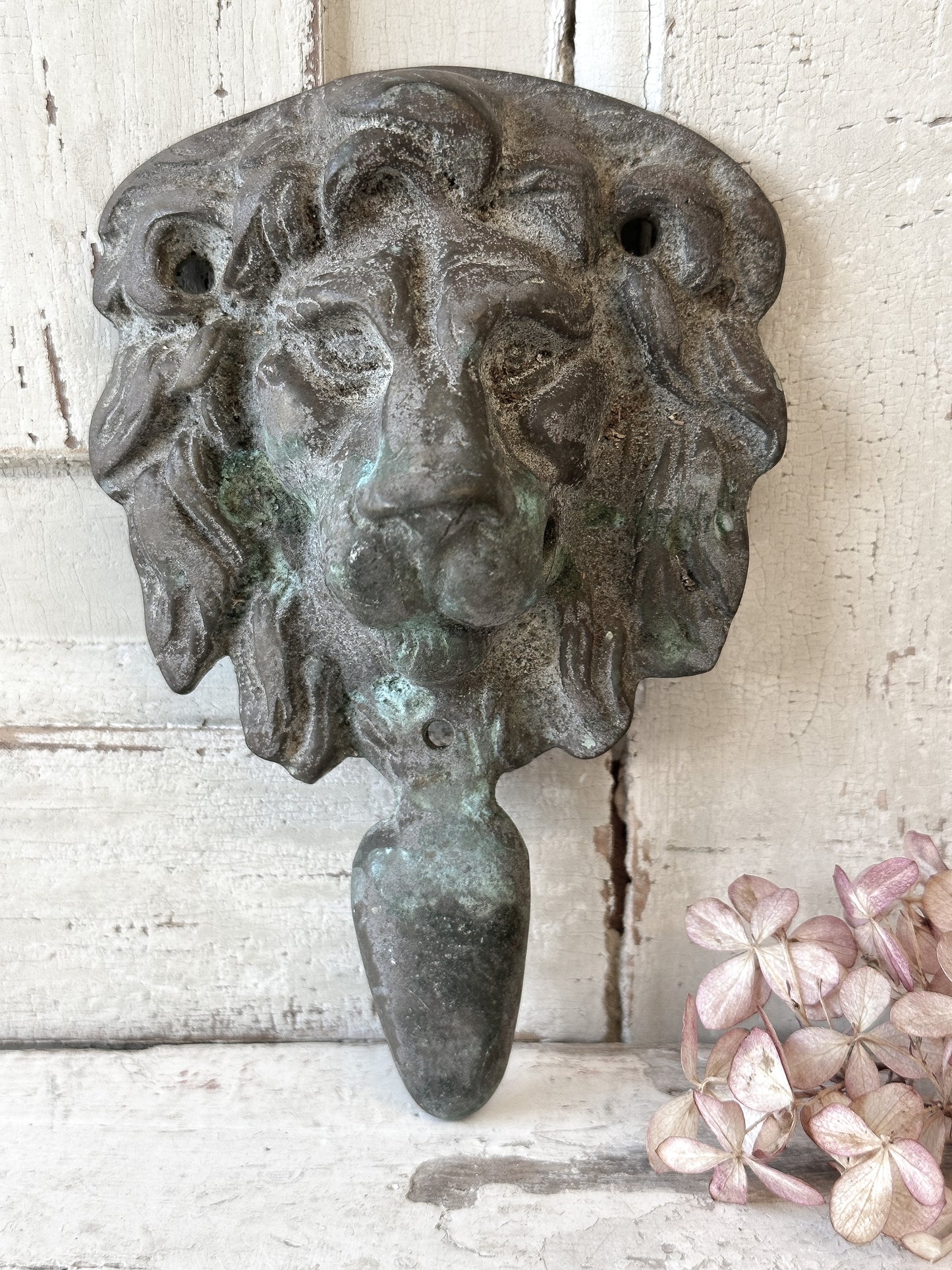Beautiful weathered brass lion knocker