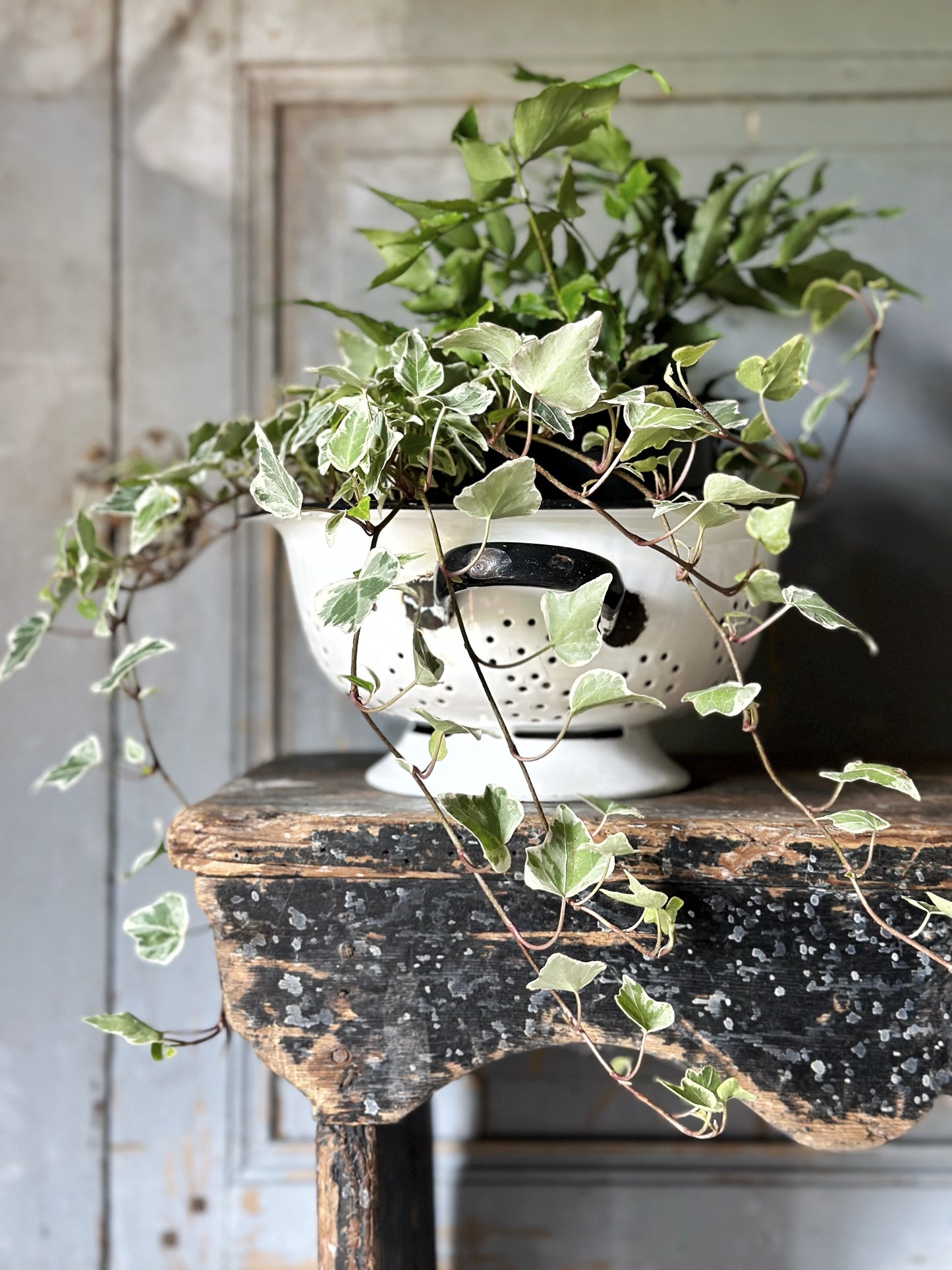 A gorgeous vintage white enamelware colander