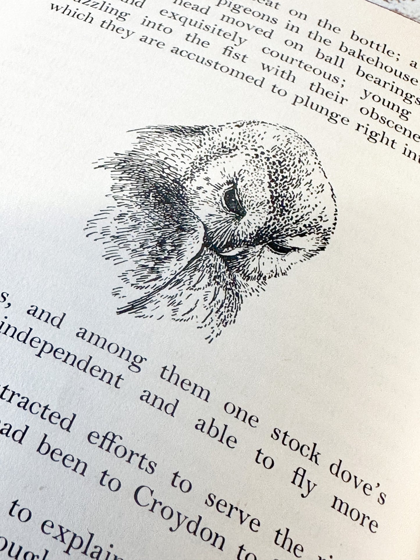Vintage book “The Goshawk” by T.H. White, Jonathan Cape, London 1953