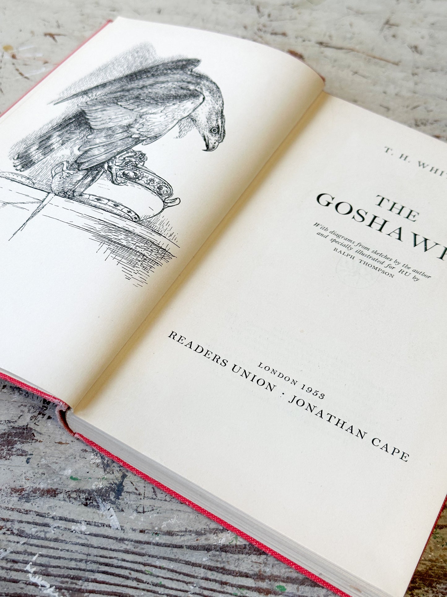 Vintage book “The Goshawk” by T.H. White, Jonathan Cape, London 1953