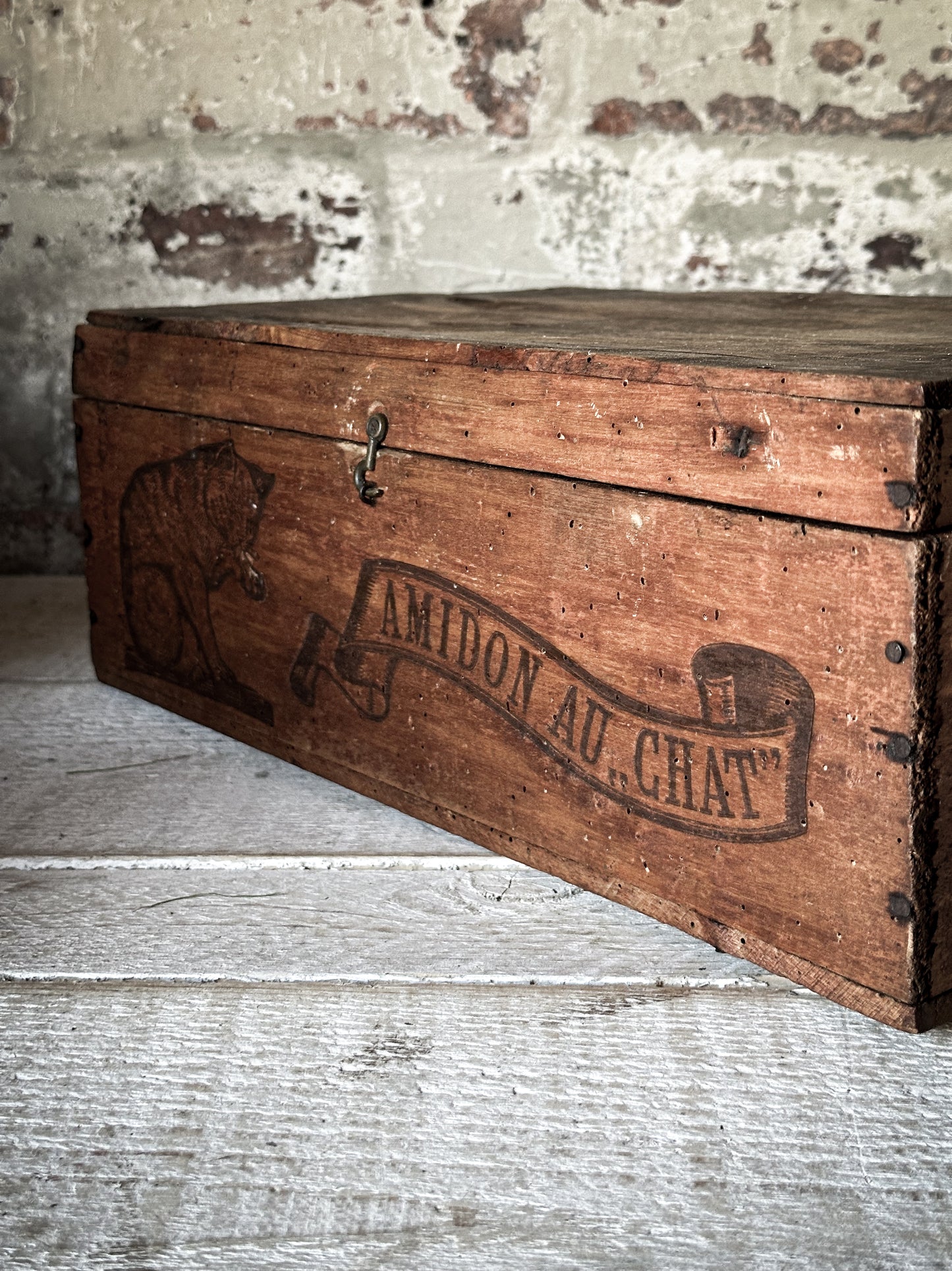Amidon Au Chat Diplome D’ Honneur Shop Counter Box