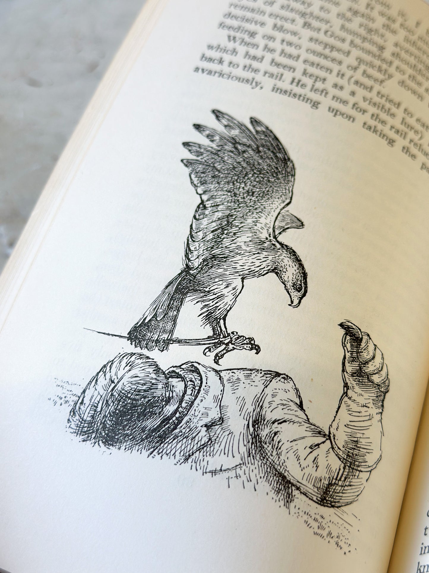 Vintage book “The Goshawk” by T.H. White, Jonathan Cape, London 1953