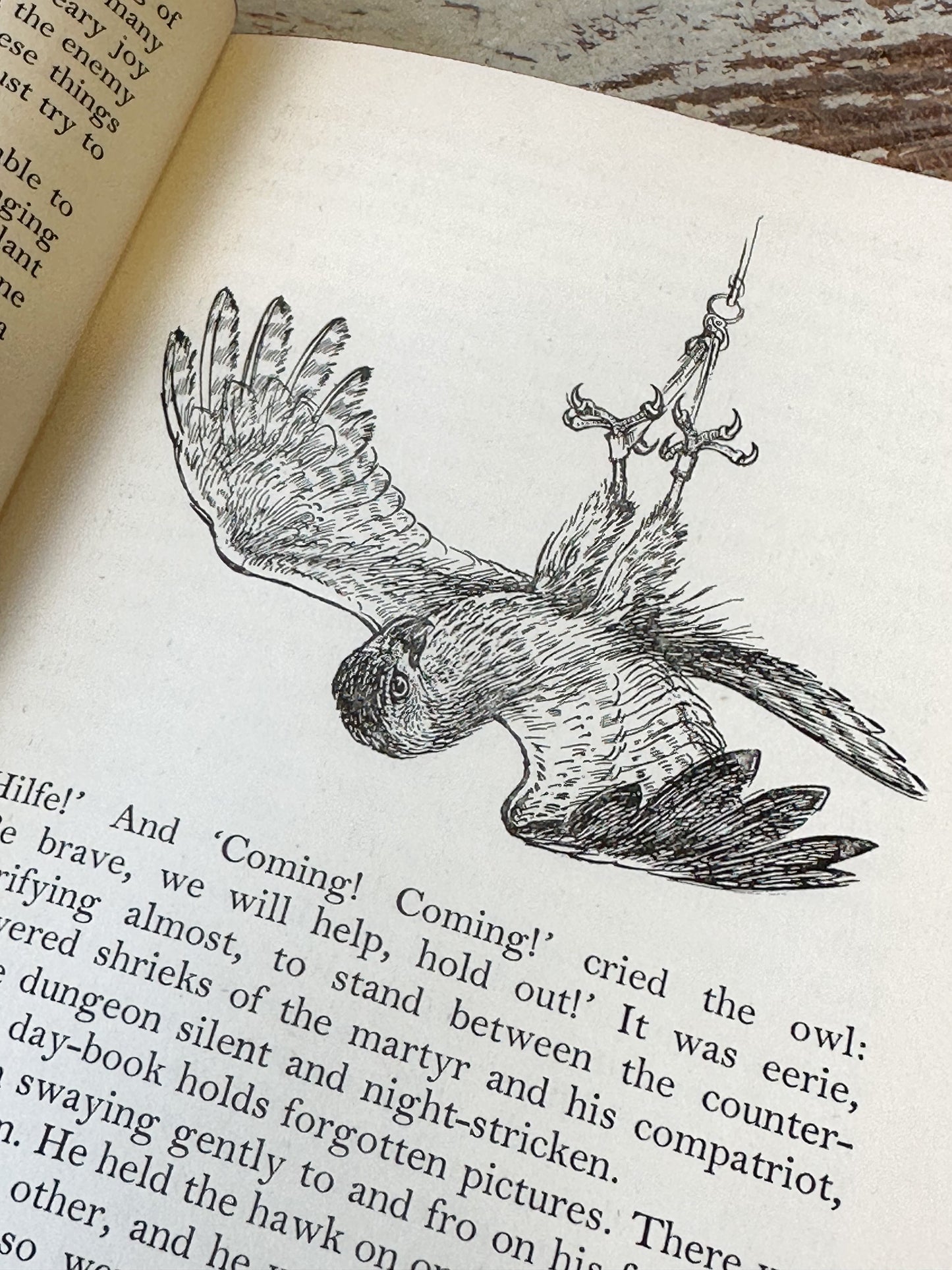 Vintage book “The Goshawk” by T.H. White, Jonathan Cape, London 1953