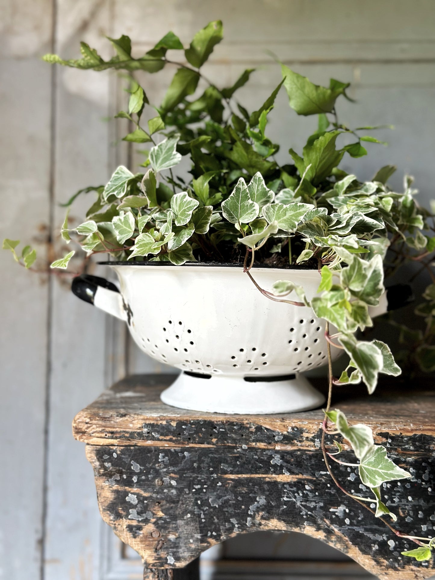 A gorgeous vintage white enamelware colander