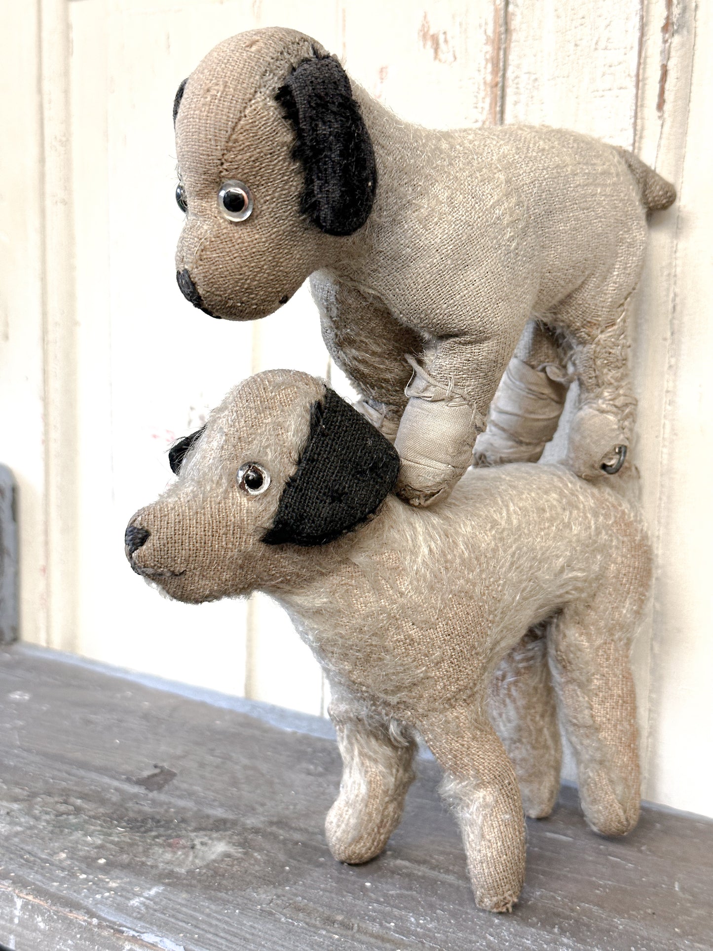 Antique Mohair “Caesar” Terrier Dog Soft Toy C.1930s by Farnell