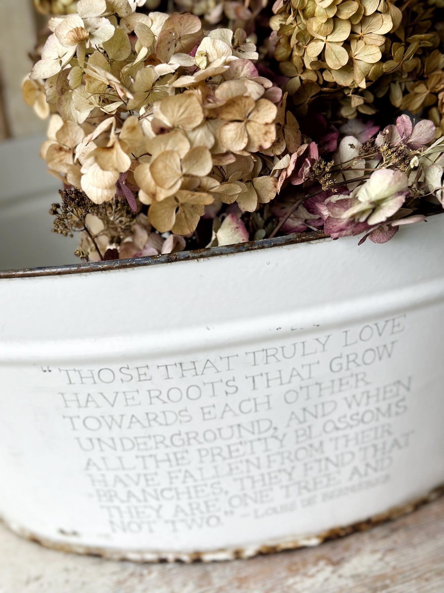 A rustic time worn white enamel oval bath hand painted with a quote.