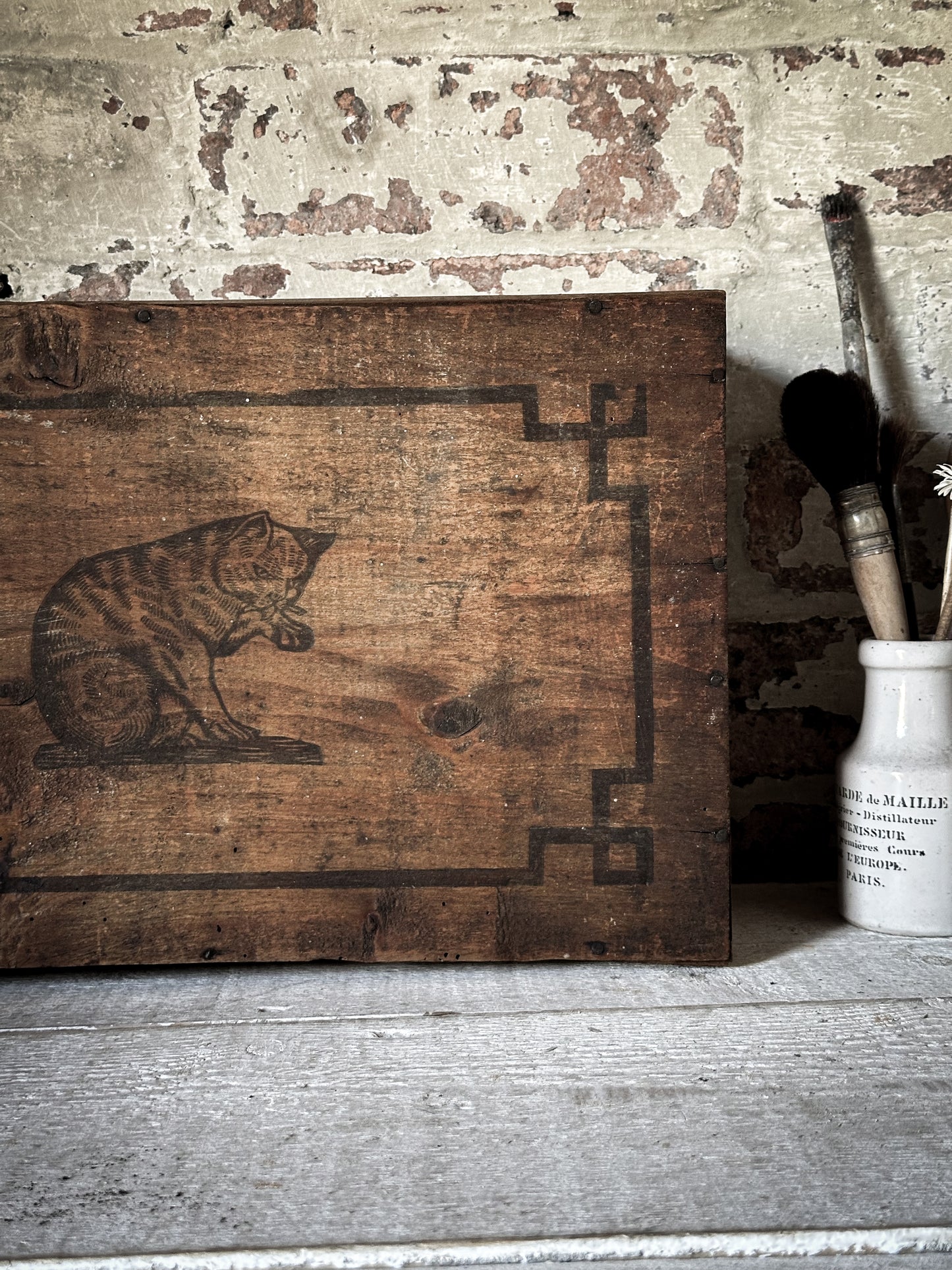 Amidon Au Chat Diplome D’ Honneur Shop Counter Box