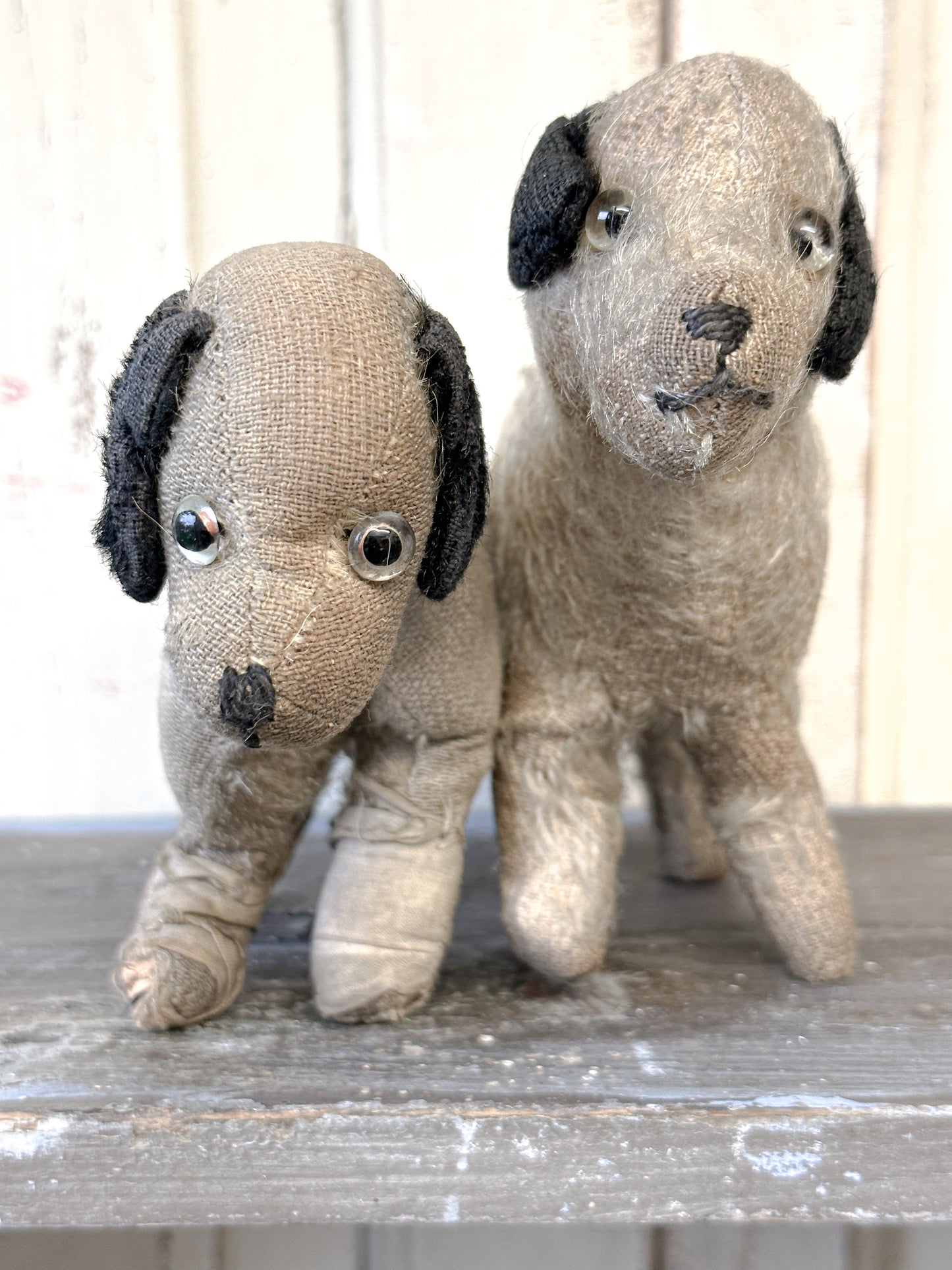 Antique Mohair “Caesar” Terrier Dog Soft Toy C.1930s by Farnell