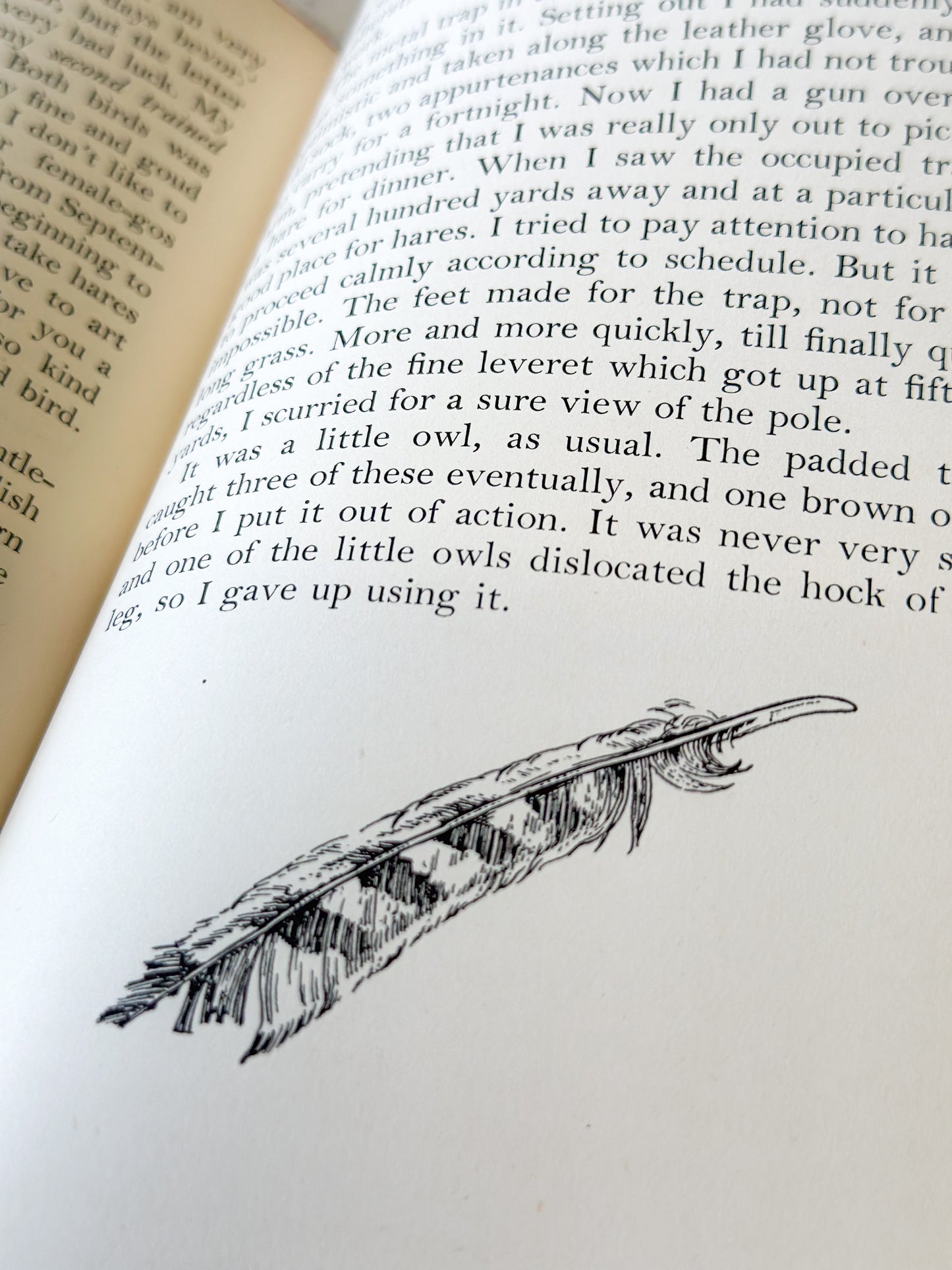 Vintage book “The Goshawk” by T.H. White, Jonathan Cape, London 1953