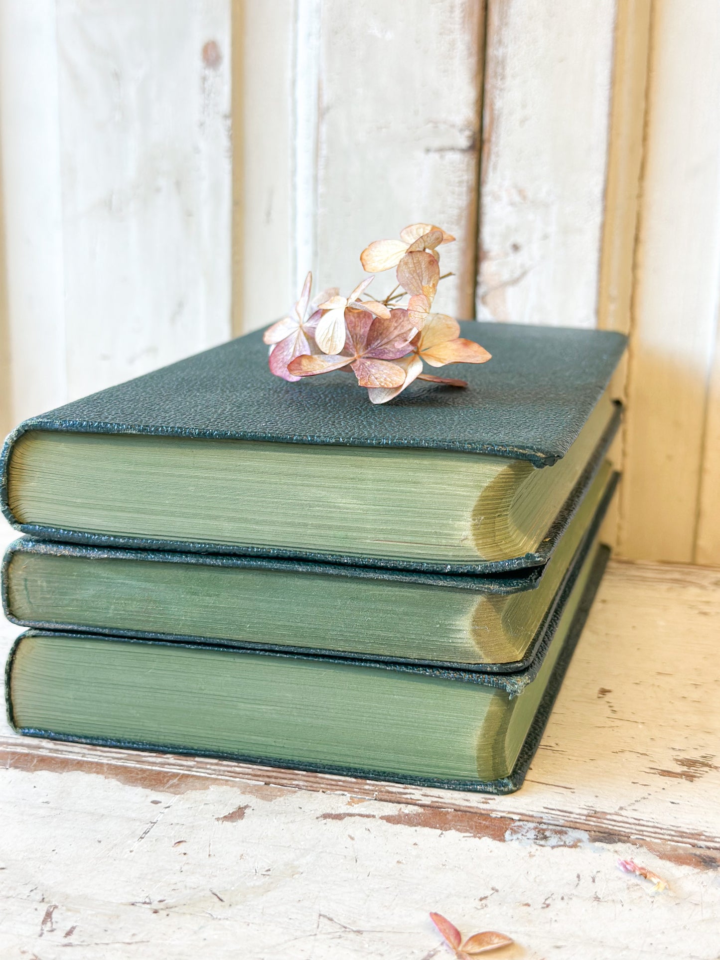 Three Olive Classics books “Lorna Doone” by R.D. Blackmore, “Robert Burnes poems”, “David Copperfield” by Charles Dickens