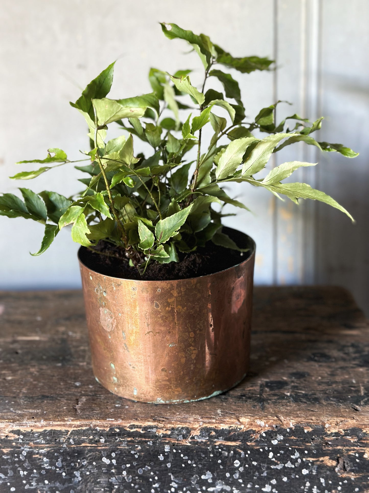 Antique copper soufflé pot