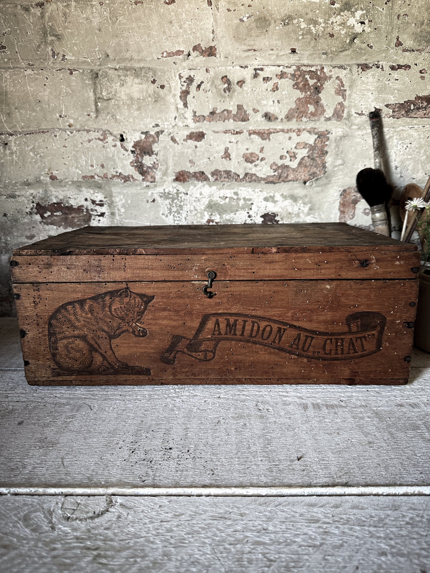 Amidon Au Chat Diplome D’ Honneur Shop Counter Box