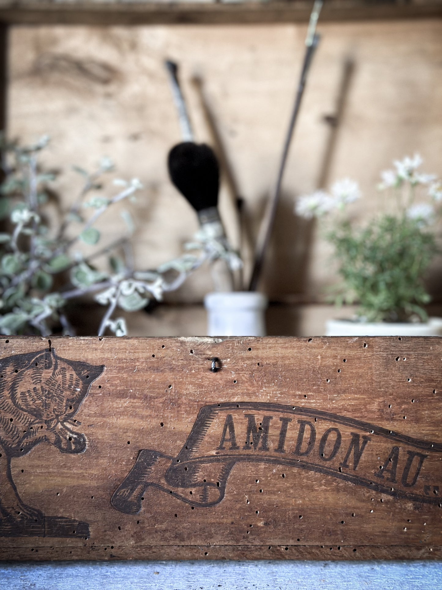 Amidon Au Chat Diplome D’ Honneur Shop Counter Box