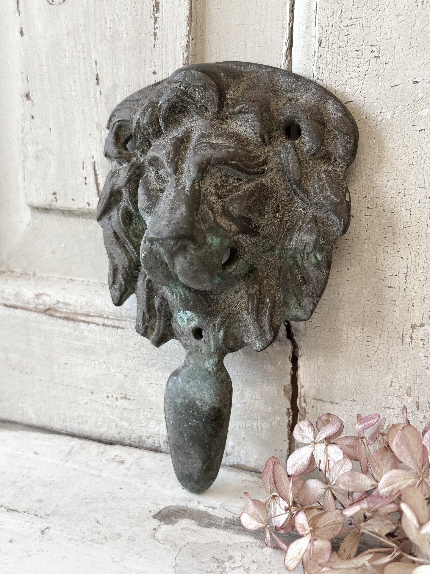 Beautiful weathered brass lion knocker