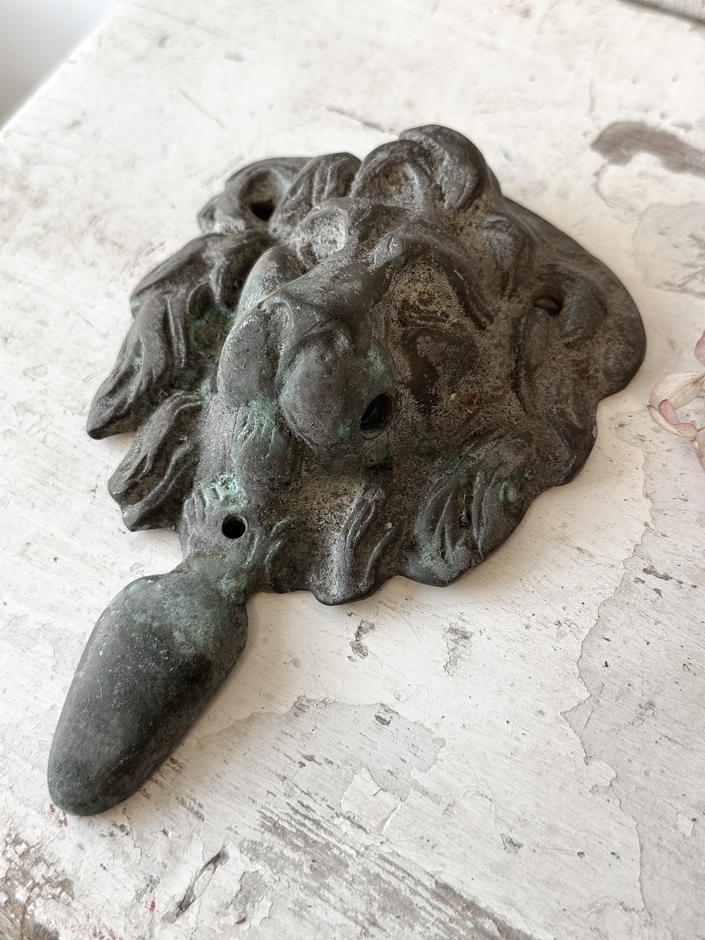 Beautiful weathered brass lion knocker