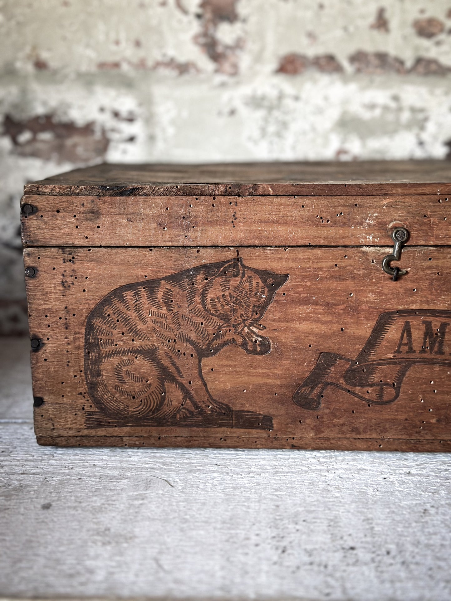 Amidon Au Chat Diplome D’ Honneur Shop Counter Box