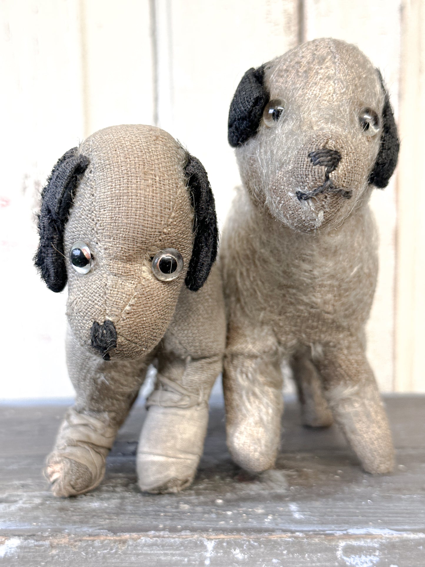 Antique Mohair “Caesar” Terrier Dog Soft Toy C.1930s by Farnell