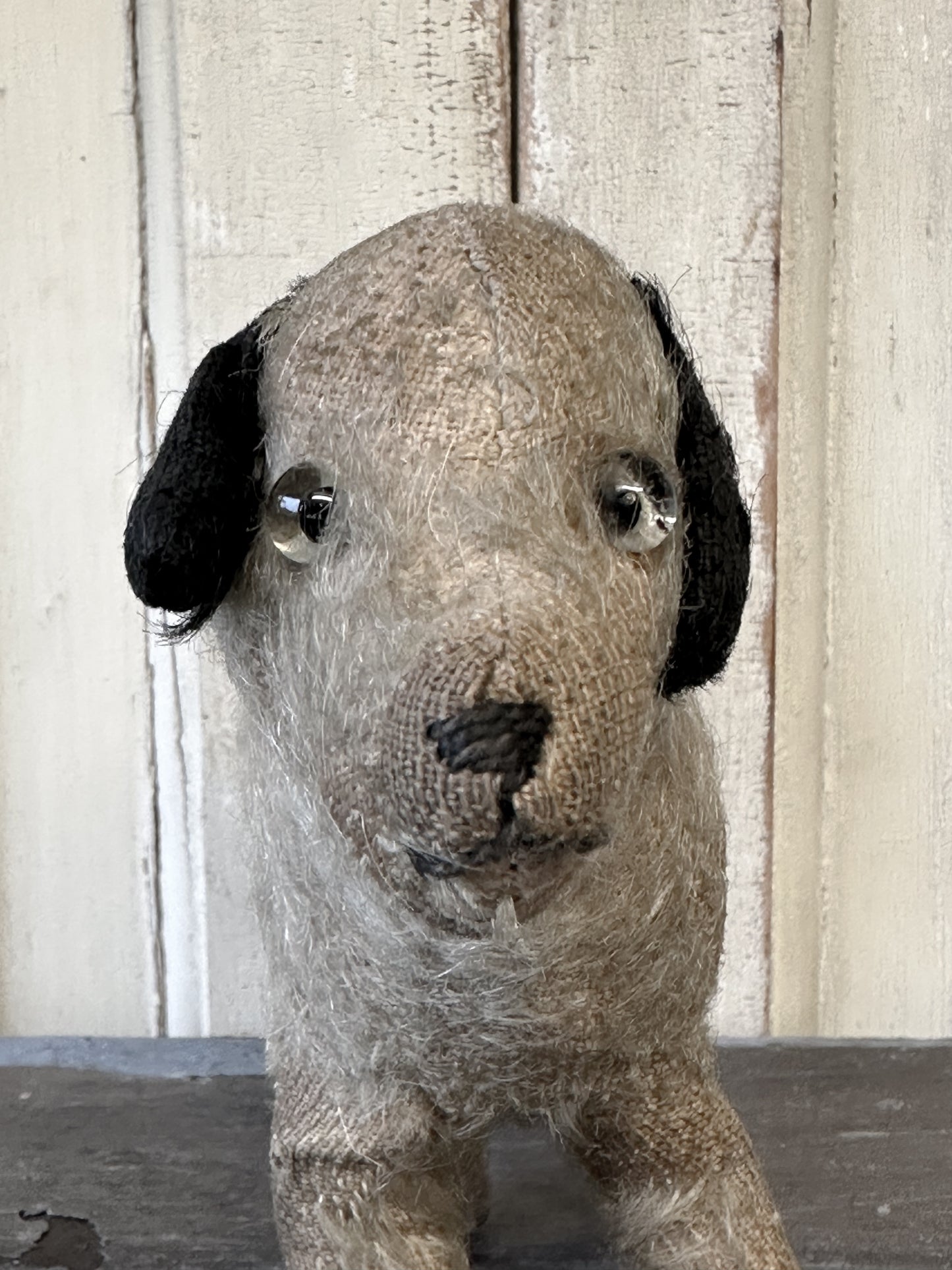 Antique Mohair “Caesar” Terrier Dog Soft Toy C.1930s by Farnell