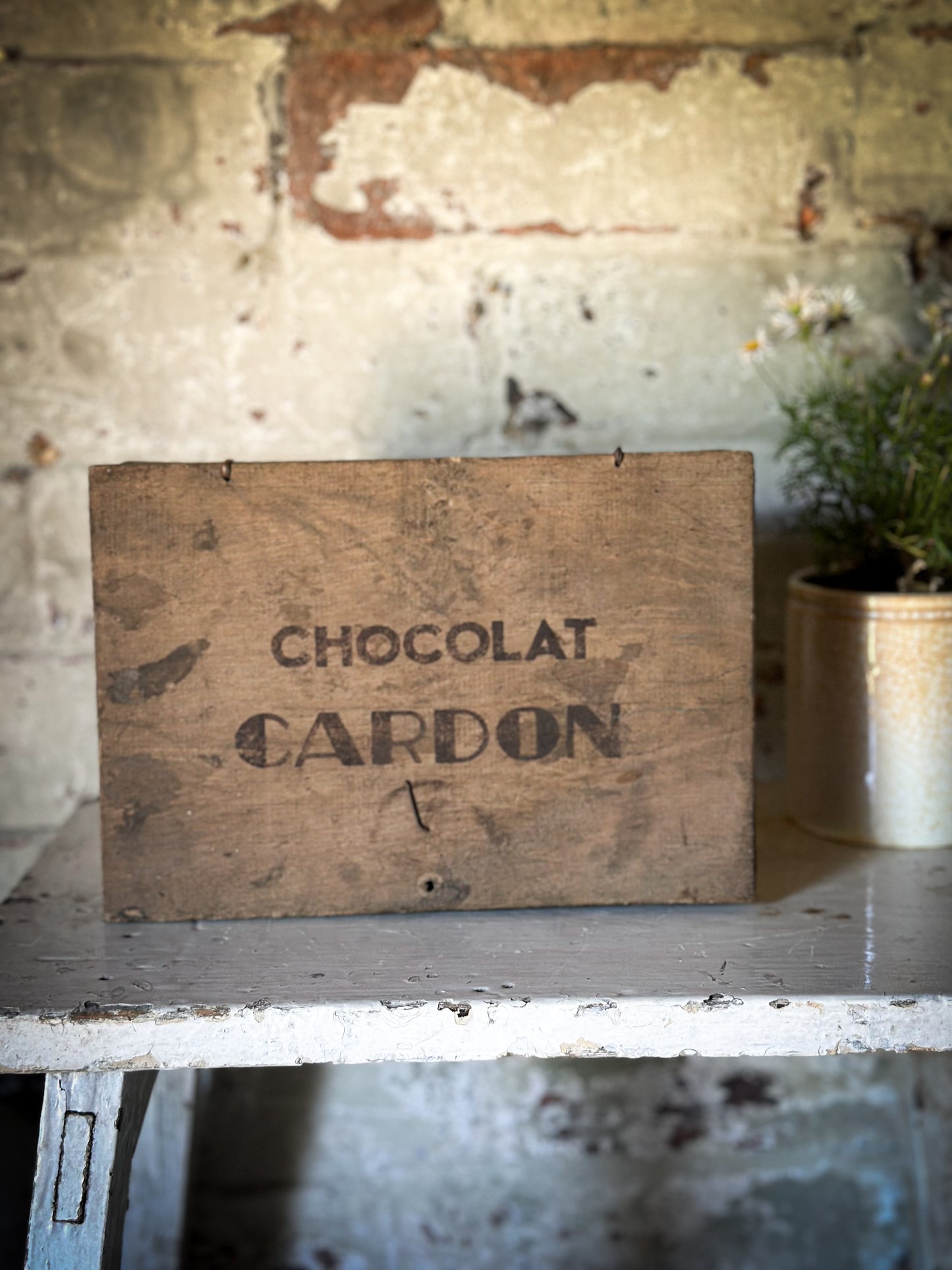 Chocolat Cardon Antique French Shop Counter box