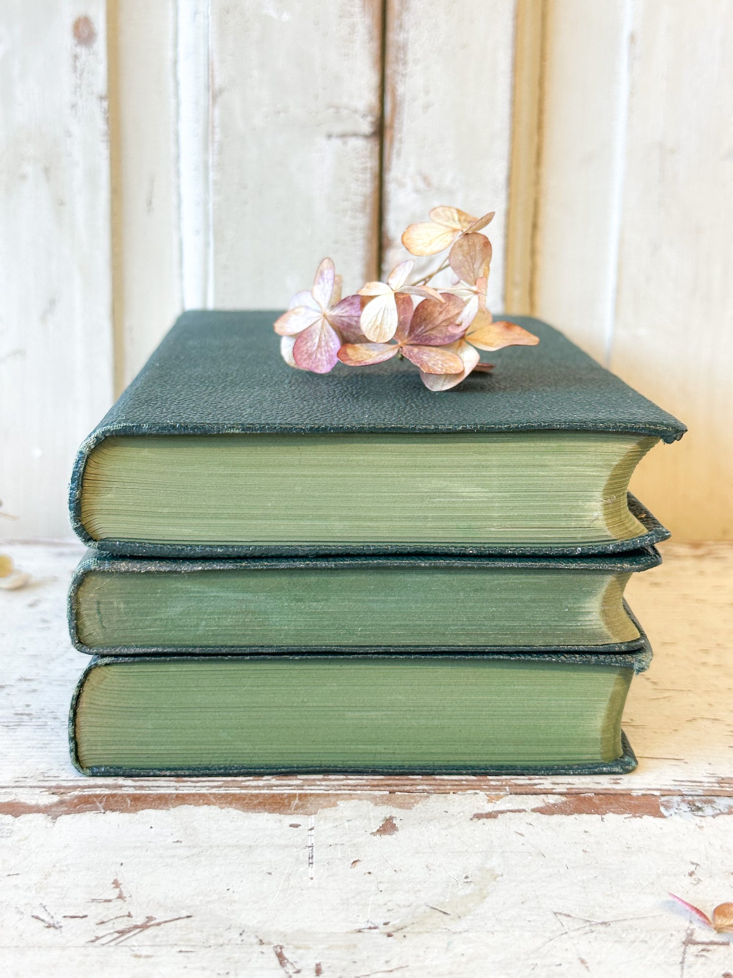Three Olive Classics books “Lorna Doone” by R.D. Blackmore, “Robert Burnes poems”, “David Copperfield” by Charles Dickens
