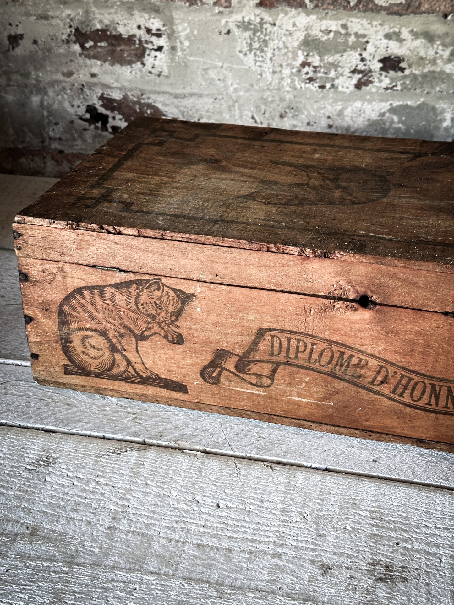 Amidon Au Chat Diplome D’ Honneur Shop Counter Box
