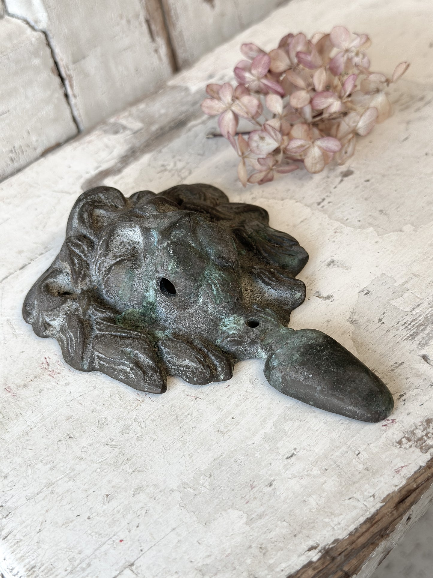 Beautiful weathered brass lion knocker
