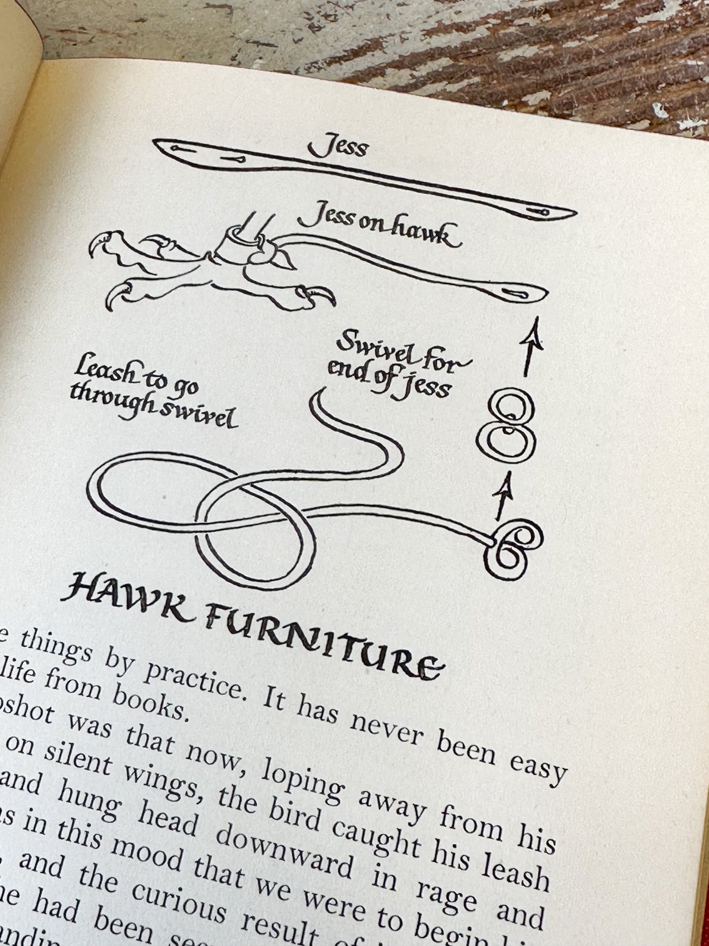 Vintage book “The Goshawk” by T.H. White, Jonathan Cape, London 1953
