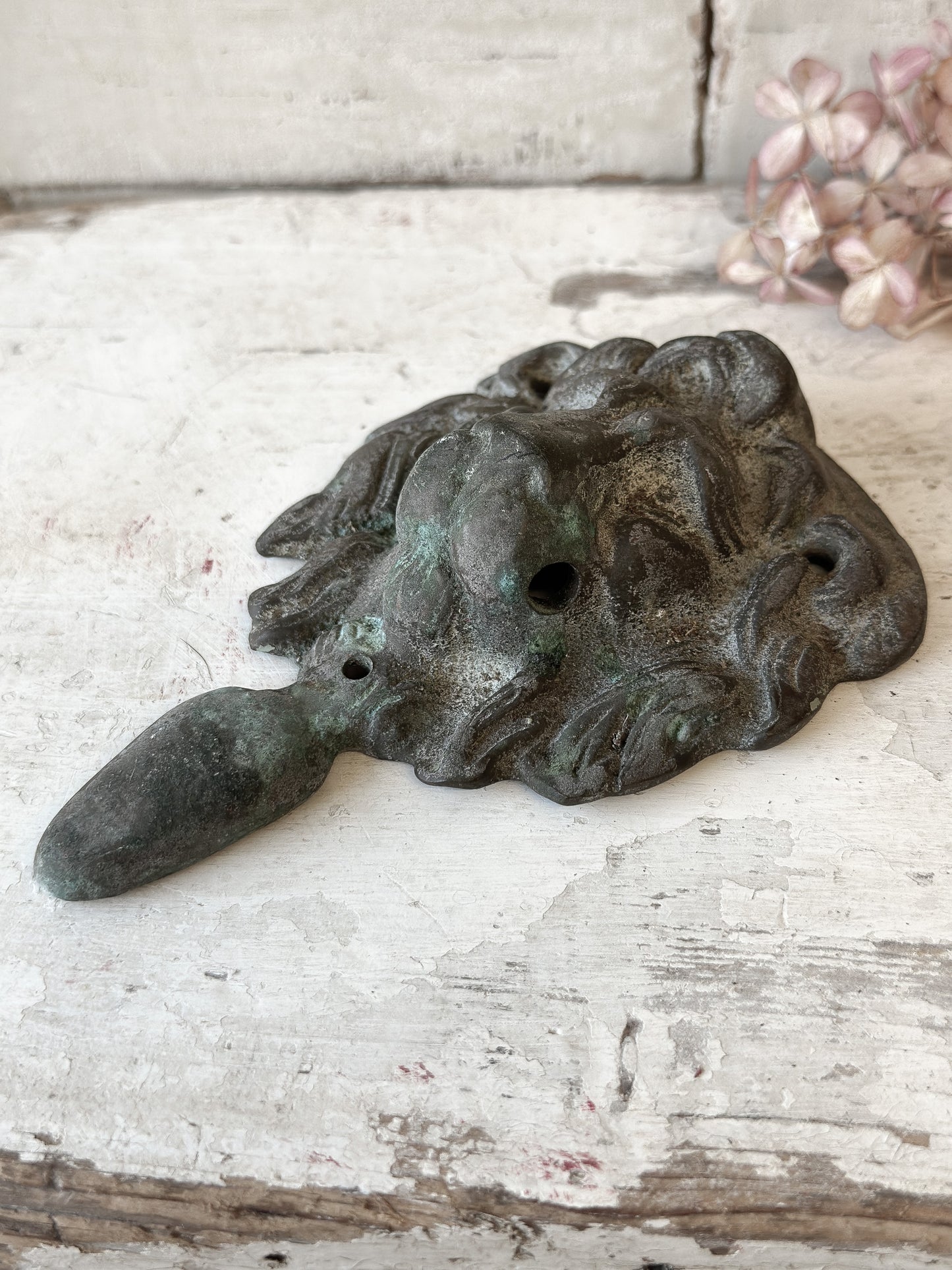 Beautiful weathered brass lion knocker