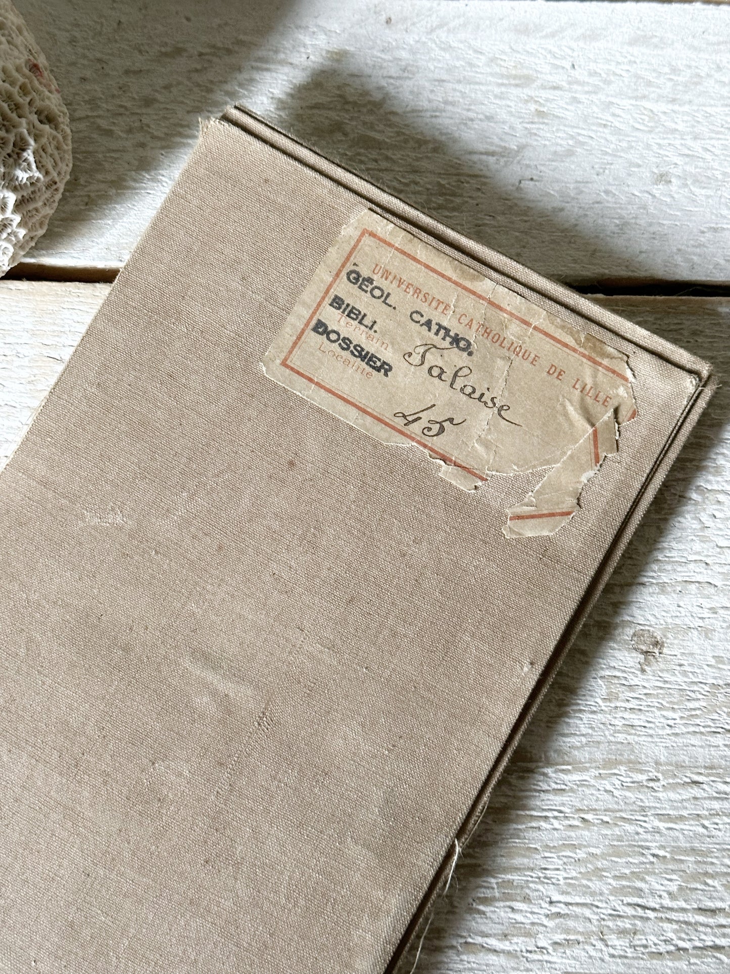 A charming antique French map of amazing quality and design