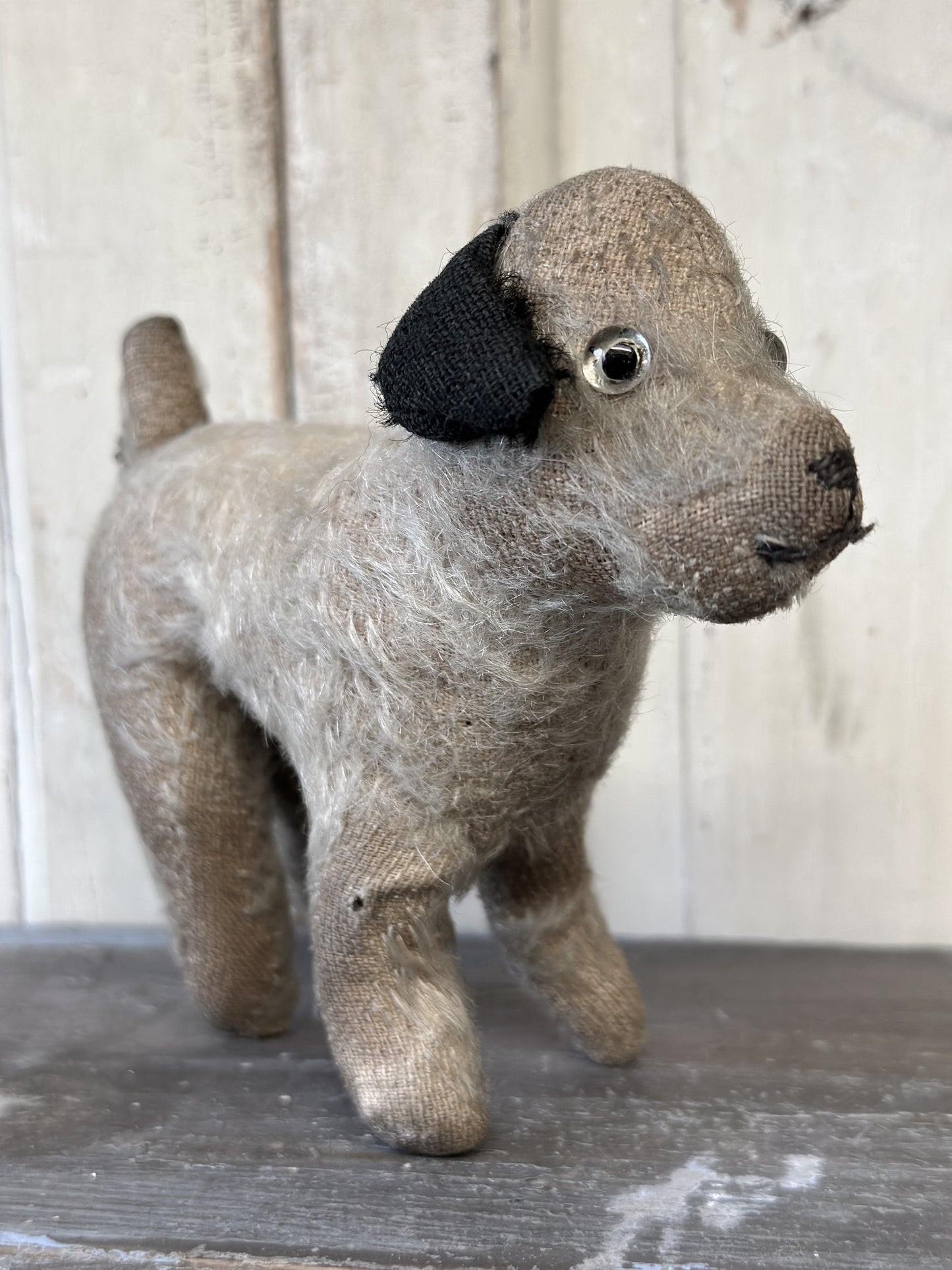 Antique Mohair “Caesar” Terrier Dog Soft Toy C.1930s by Farnell