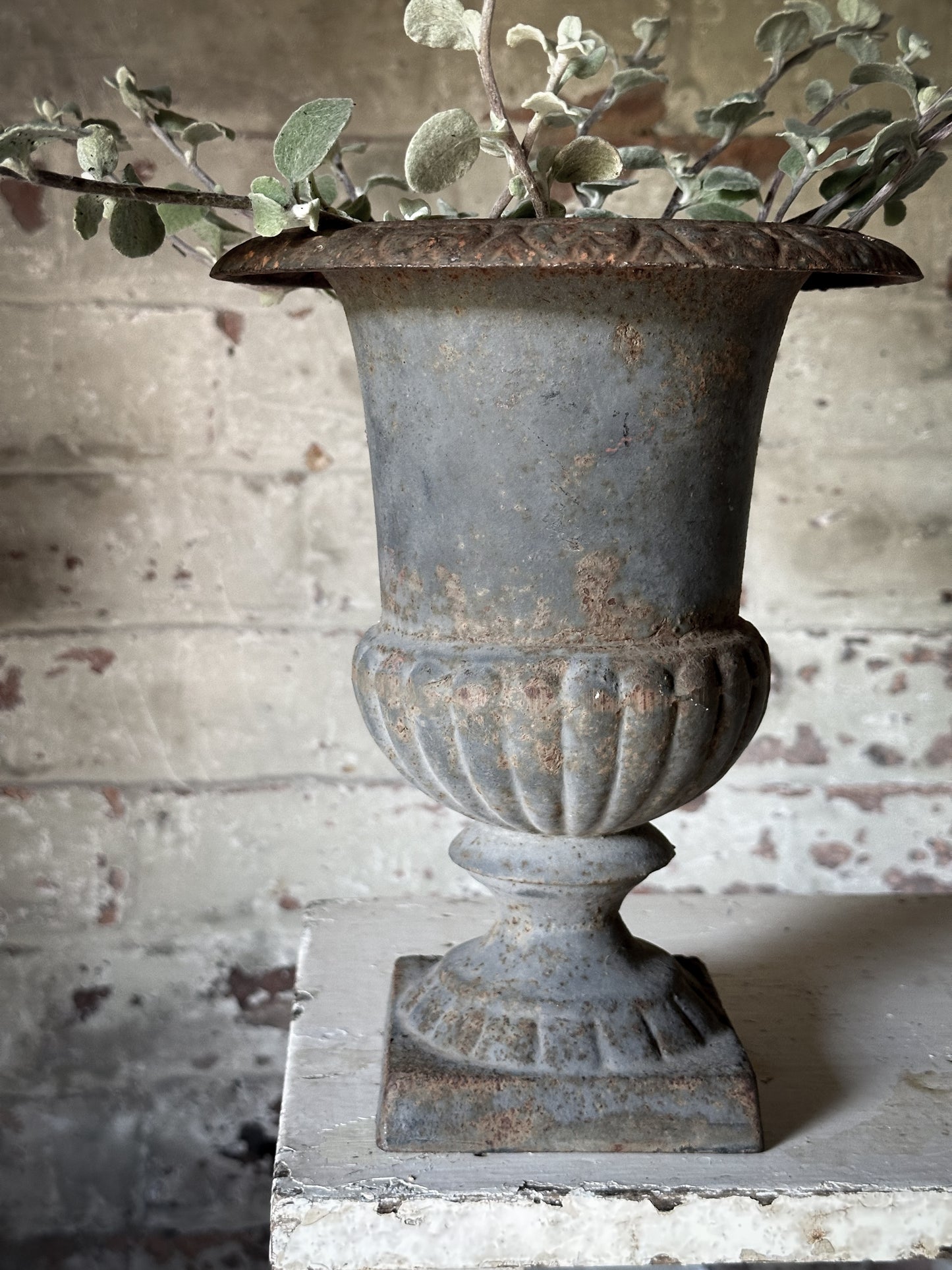Gorgeous French Cast Iron Urn