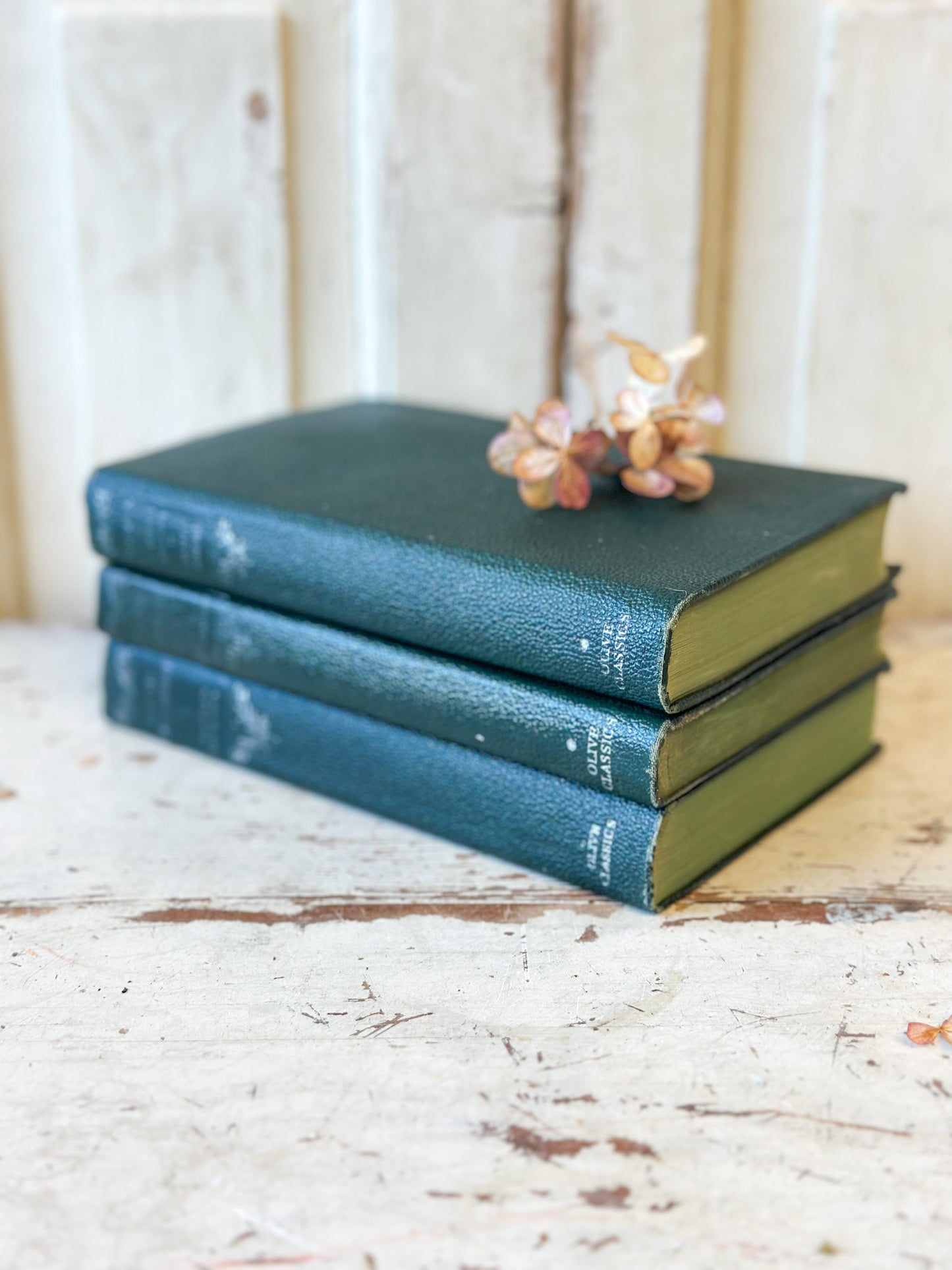 Three Olive Classics books “Lorna Doone” by R.D. Blackmore, “Robert Burnes poems”, “David Copperfield” by Charles Dickens