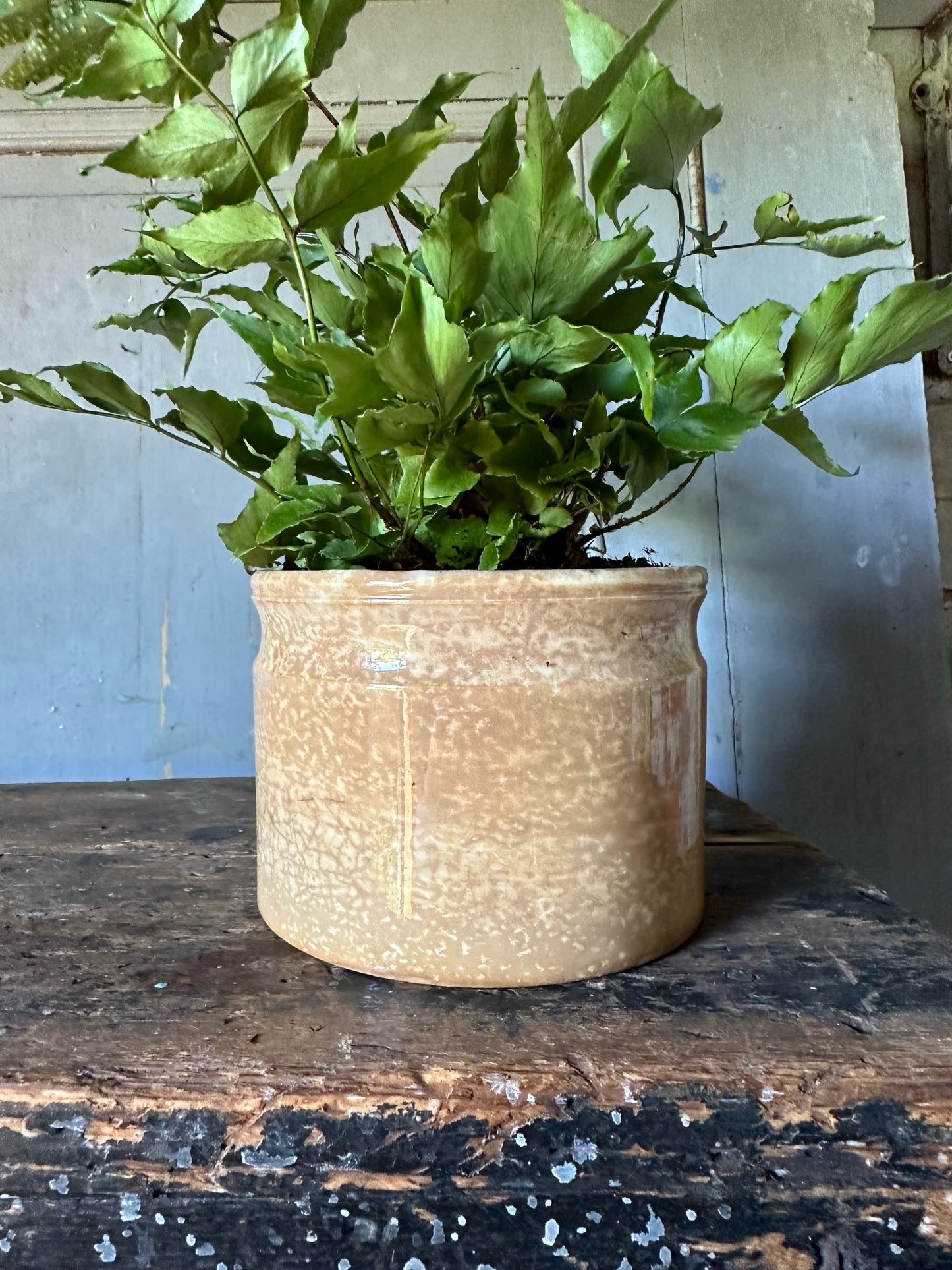 Lovely French pottery pot