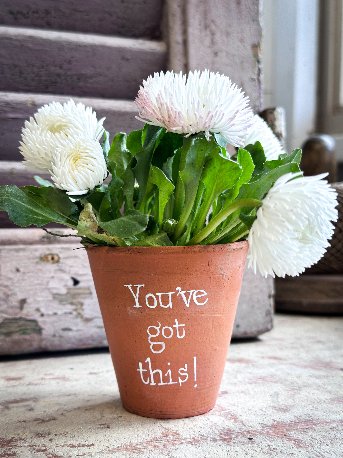 “You’ve Got This” Mini Terracotta Plant Pot
