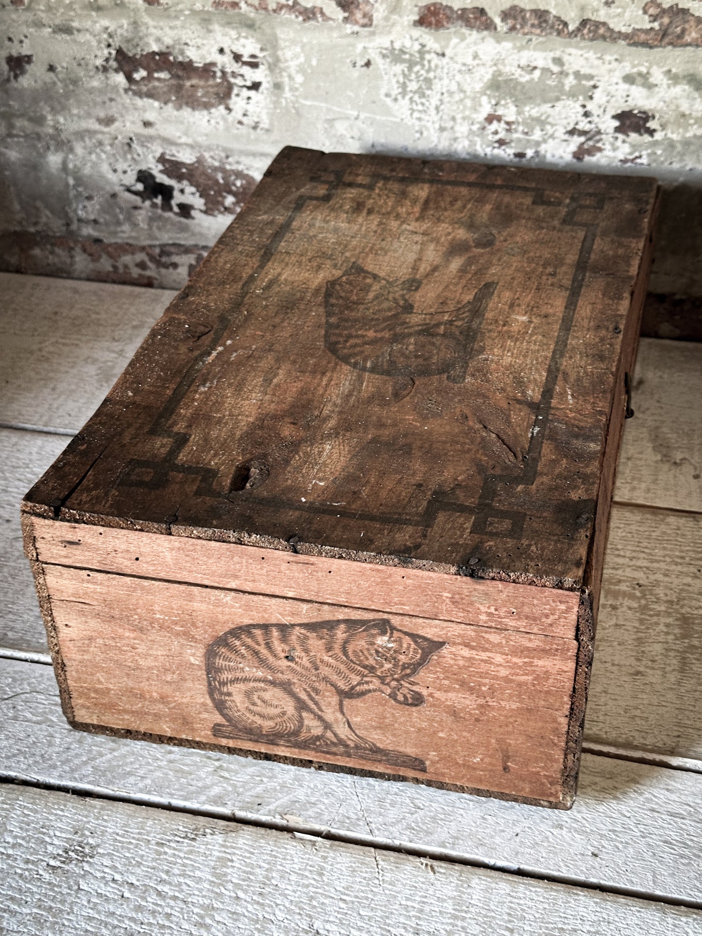 Amidon Au Chat Diplome D’ Honneur Shop Counter Box