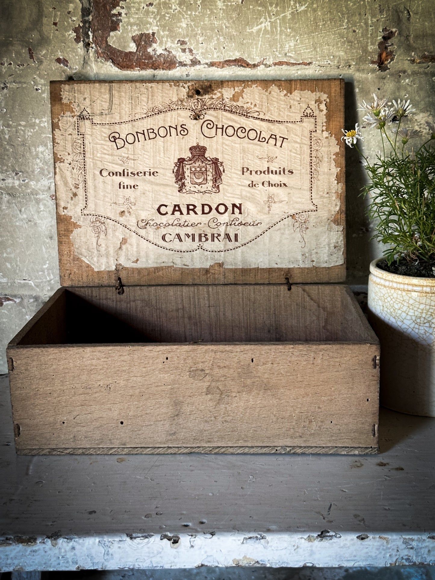 Chocolat Cardon Antique French Shop Counter box