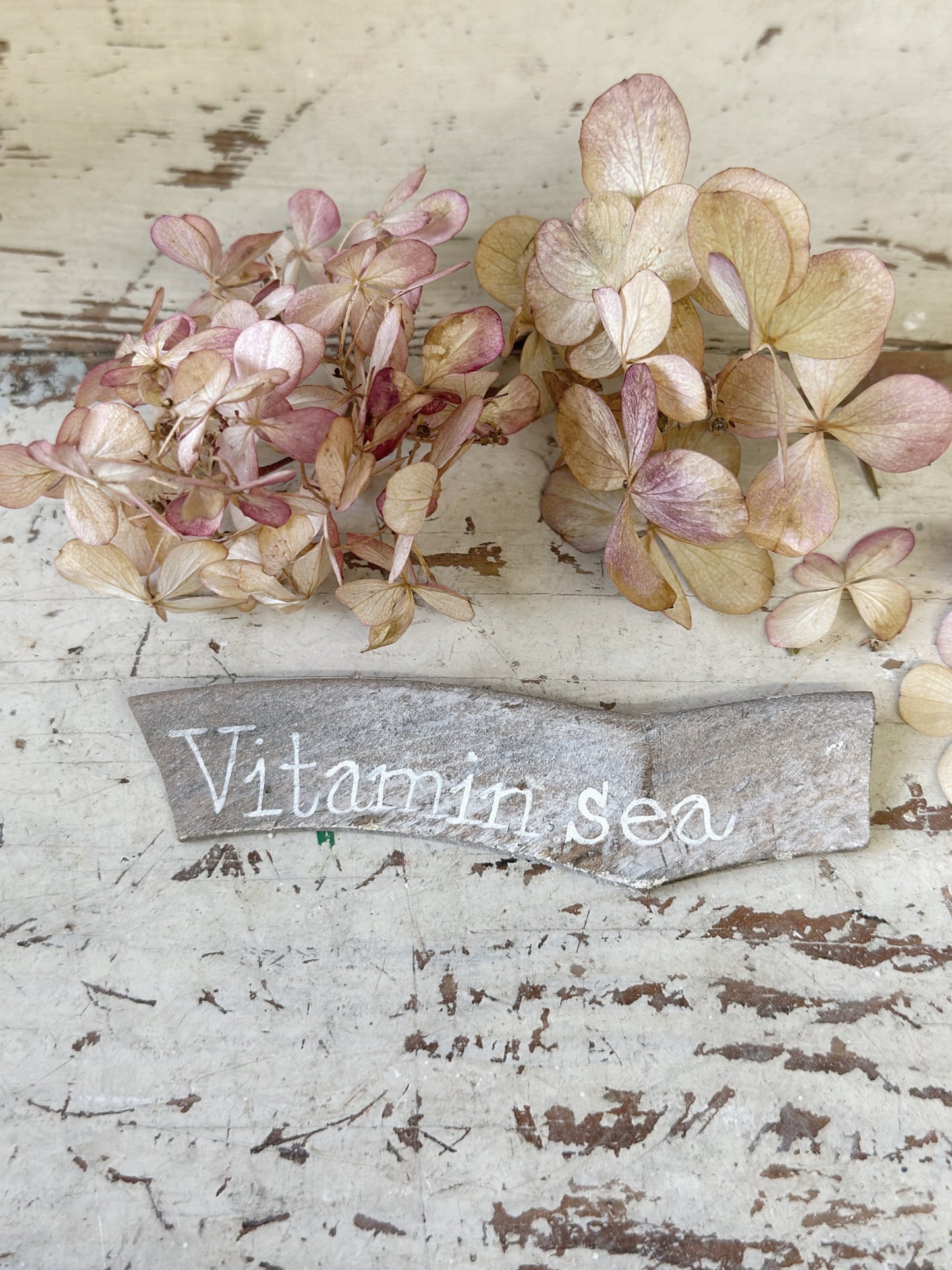A driftwood fragment with a hand painted quote