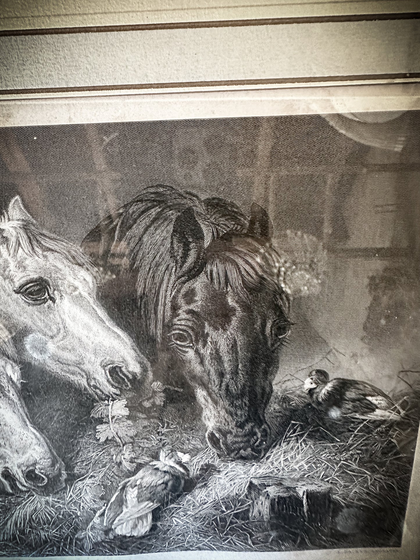 A beautiful framed antique French horse Print called “Les Trois Convives” - The Three Guests