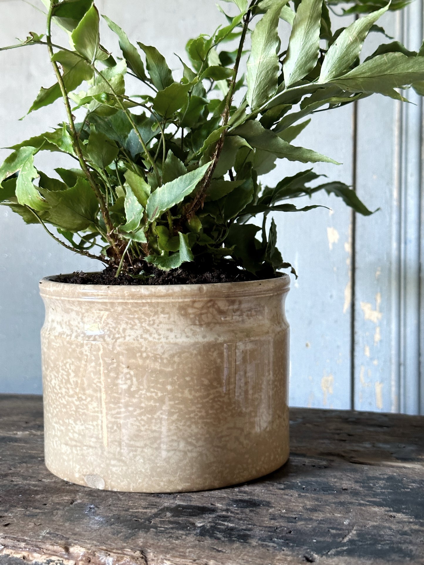 Lovely French pottery pot